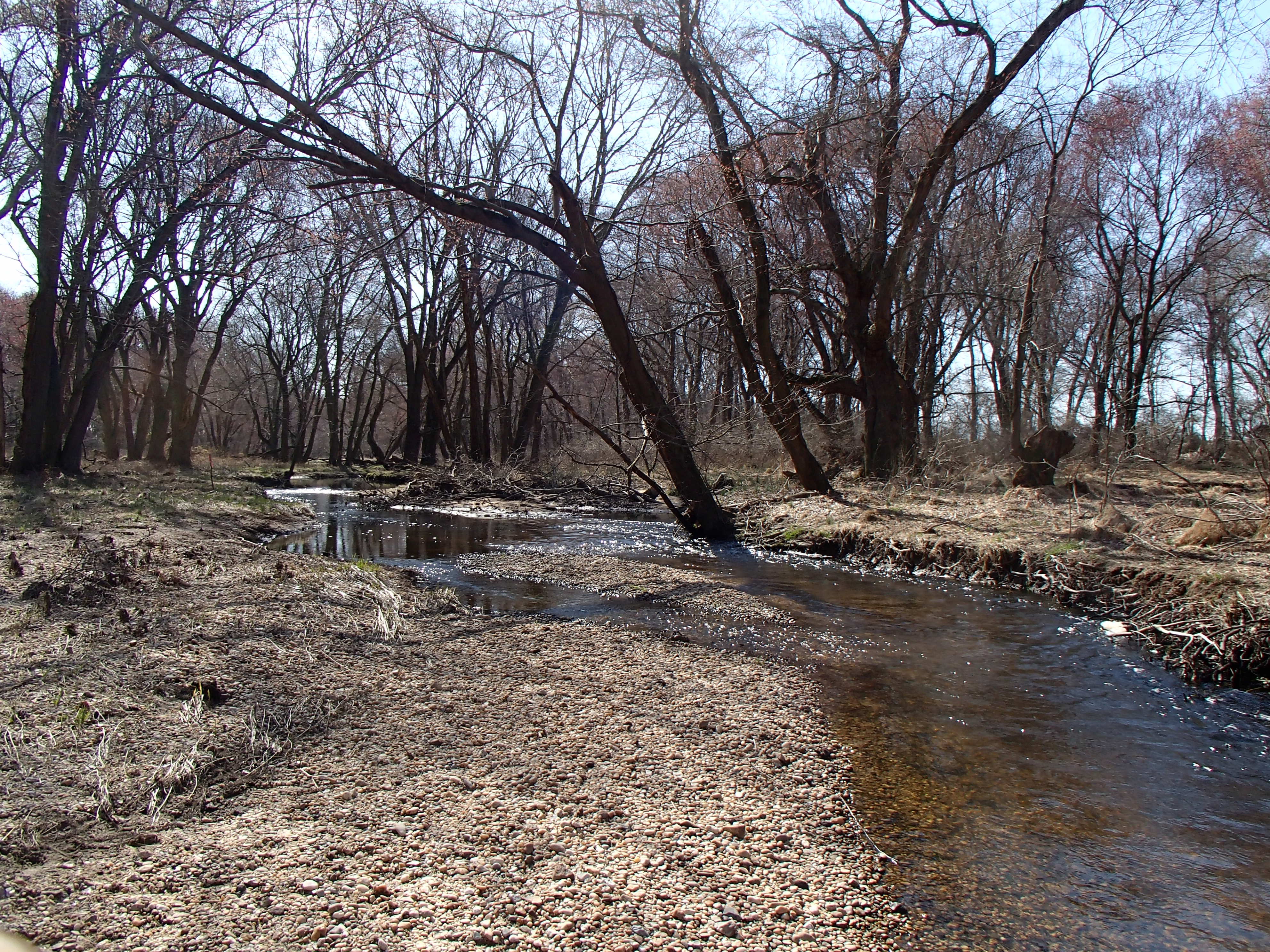 Field photo showing stream conditions at site UPCR-311-R-2015_Midpoint-looking-upstream
