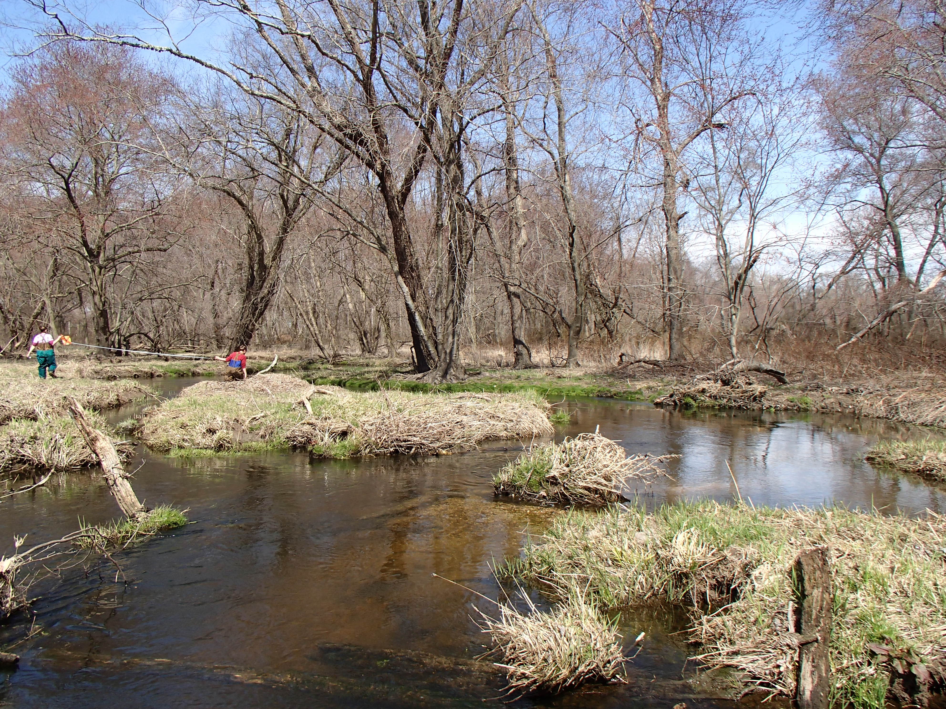 Field photo showing stream conditions at site UPCR-313-R-2015_Midpoint-looking-downstream