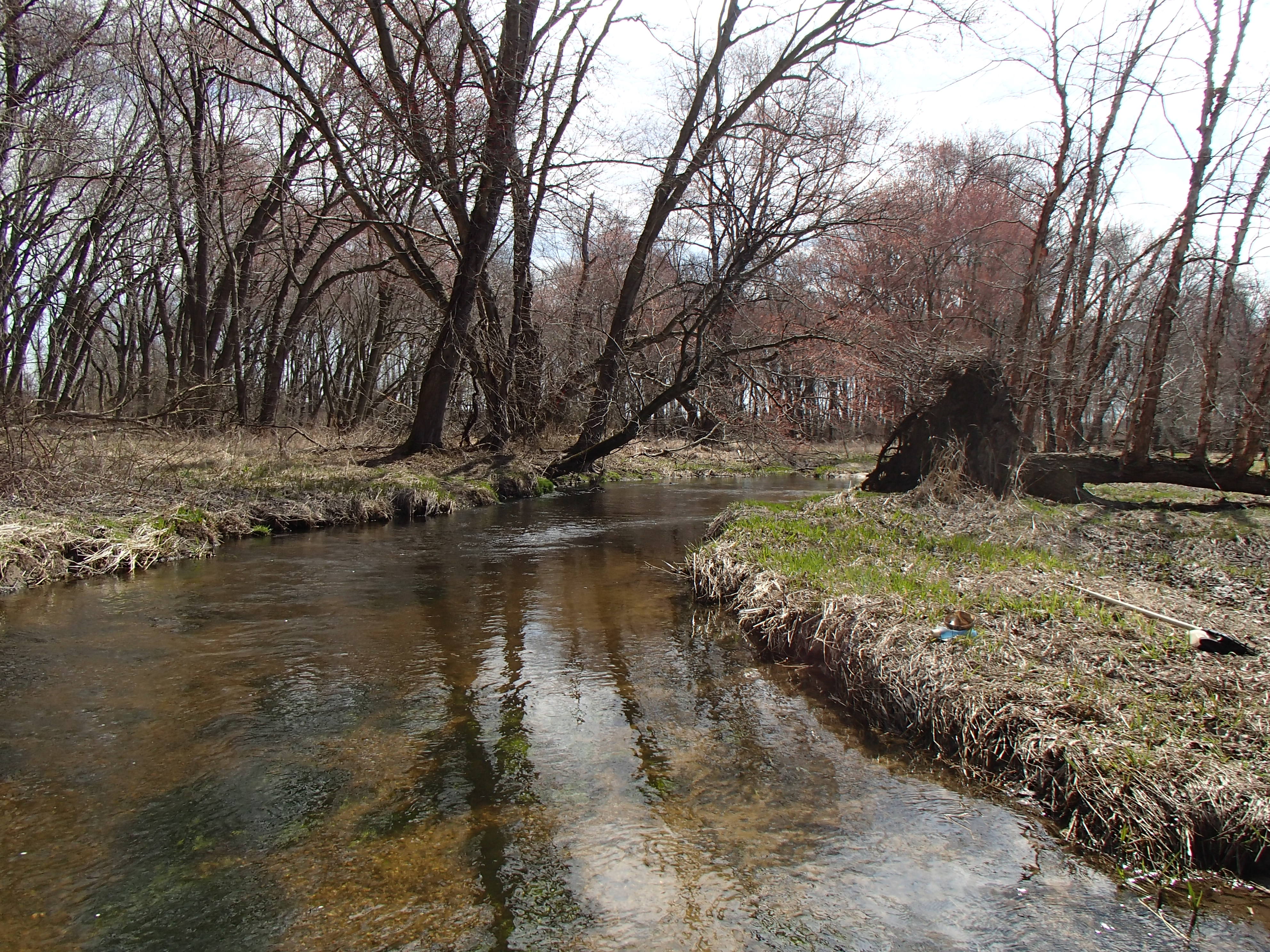 Field photo showing stream conditions at site UPCR-313-R-2015_Midpoint-looking-upstream