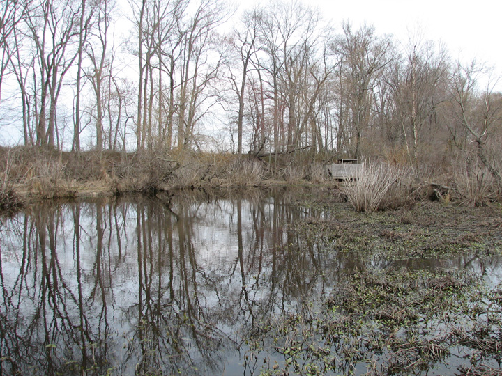 Field photo showing stream conditions at site UPCR-426-A-2007-1