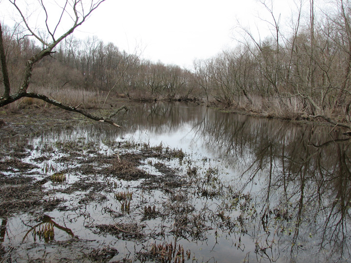 Field photo showing stream conditions at site UPCR-426-A-2007-2