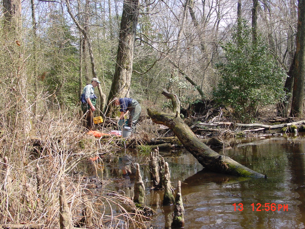Field photo showing stream conditions at site UPPC-105-R-2001-1