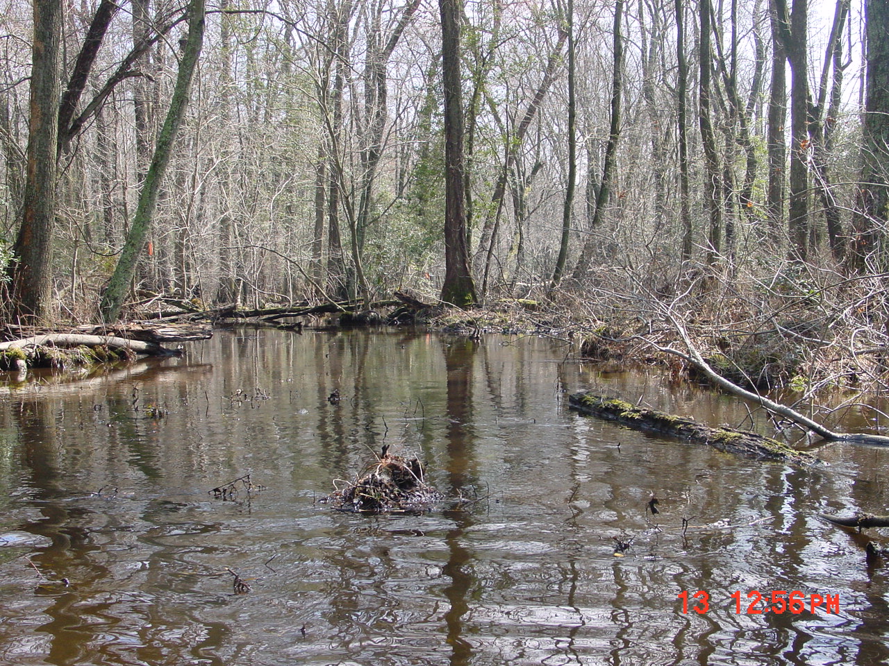 Field photo showing stream conditions at site UPPC-105-R-2001-2
