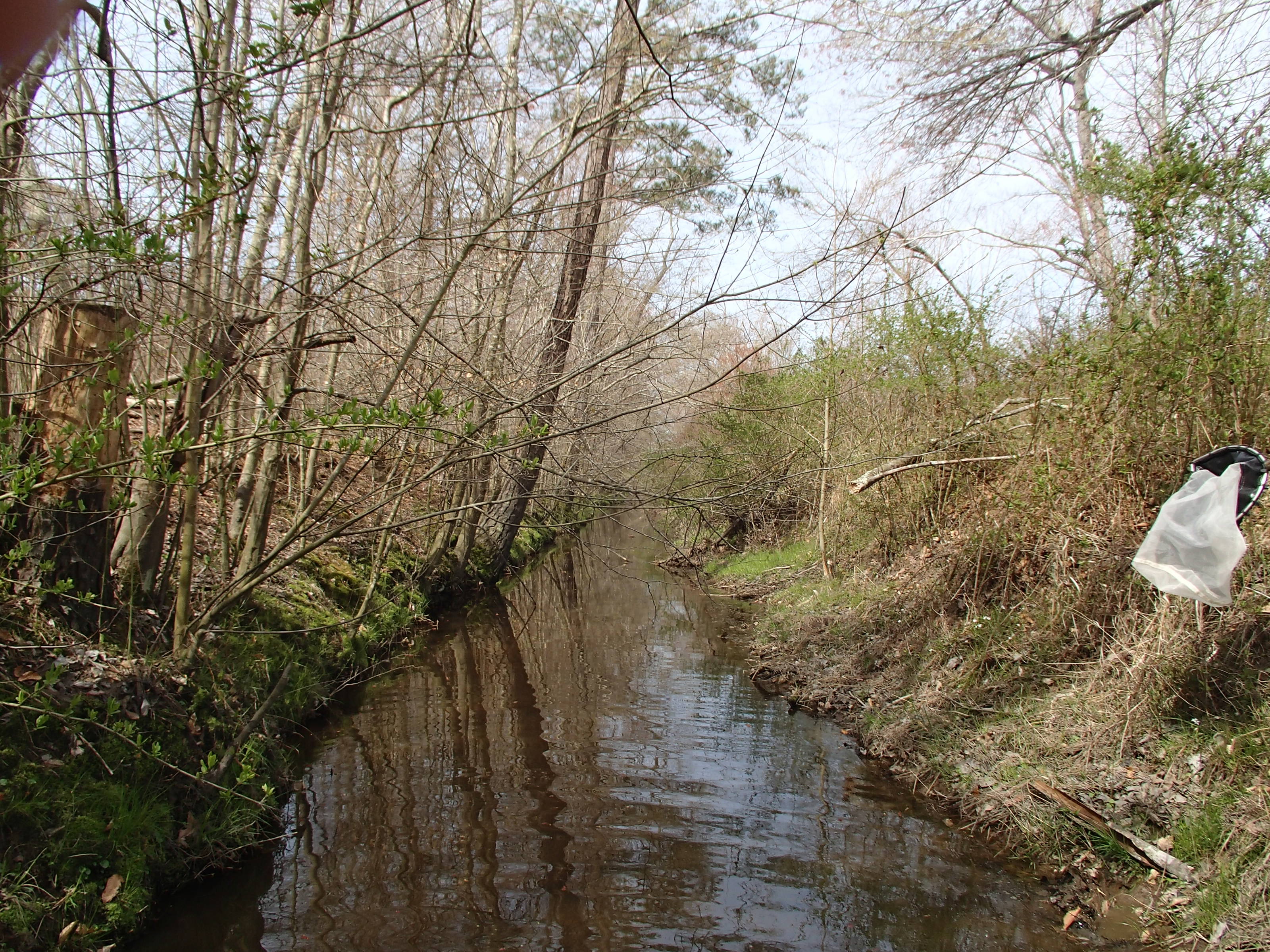 Field photo showing stream conditions at site UPPC-106-R-2015_Midpoint-looking-downstream