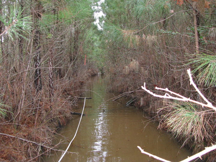 Field photo showing stream conditions at site UPPC-110-R-2009-2