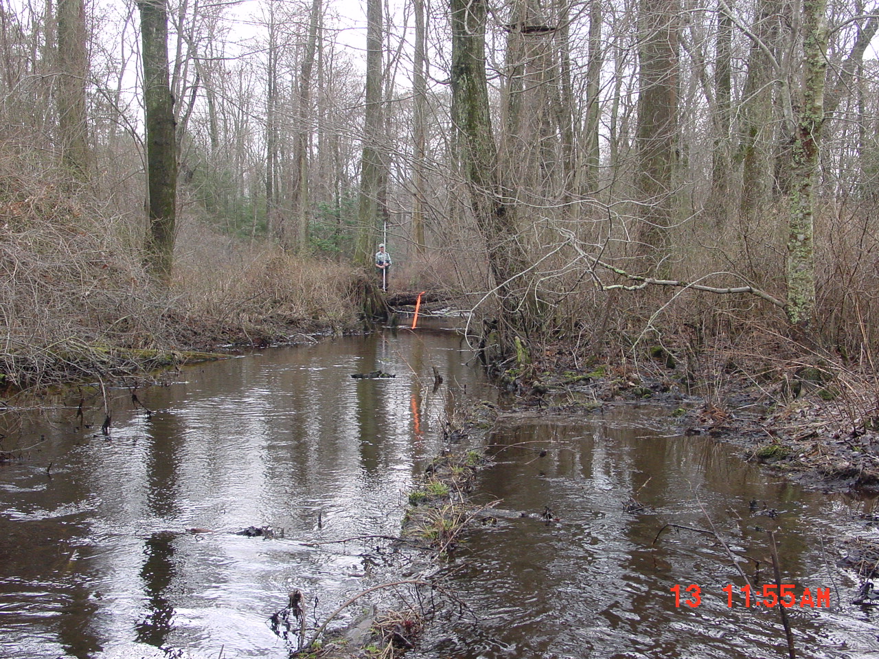 Field photo showing stream conditions at site UPPC-113-R-2001-1