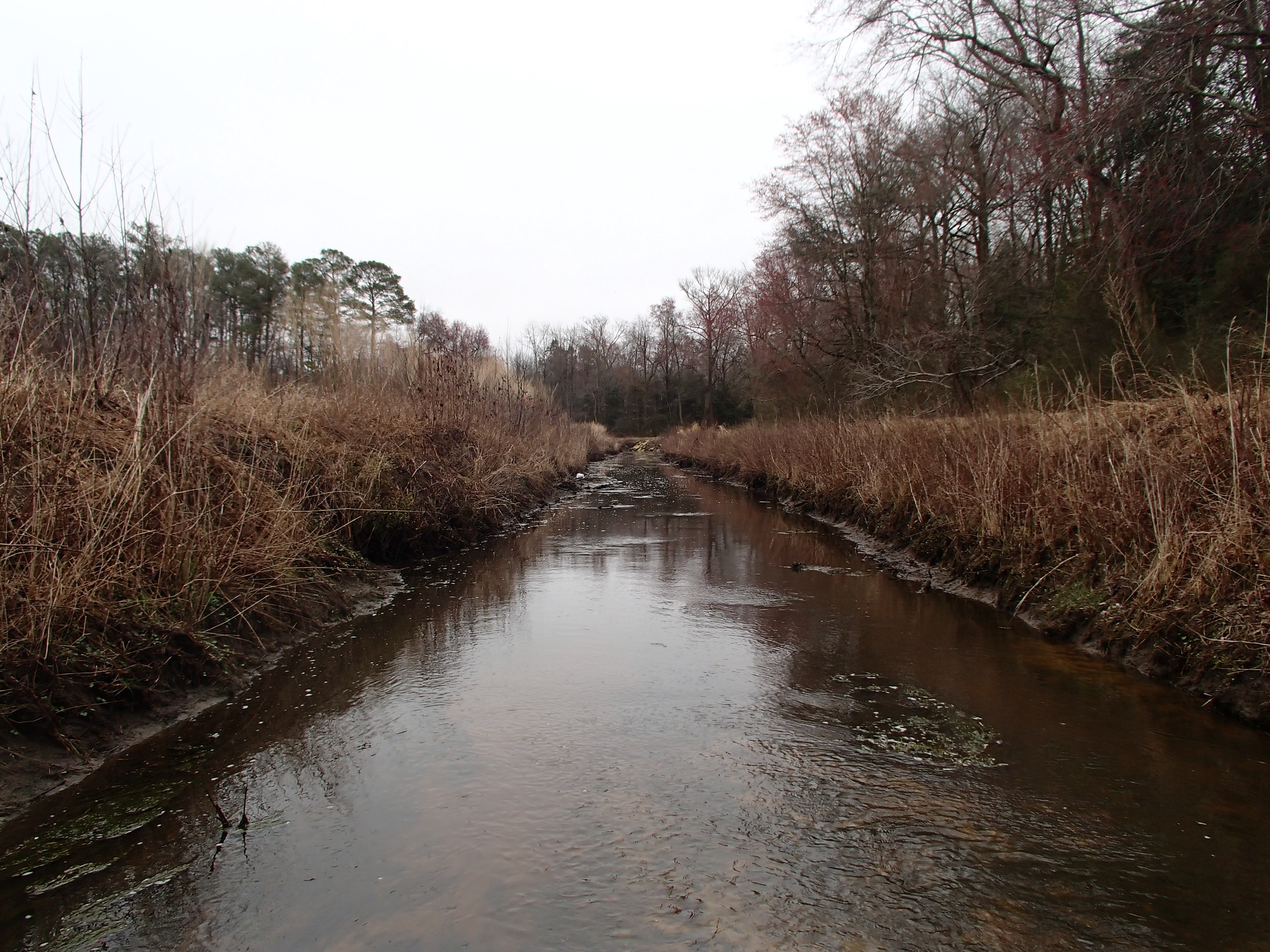 Field photo showing stream conditions at site UPPC-114-R-2015_Midpoint-looking-downstream