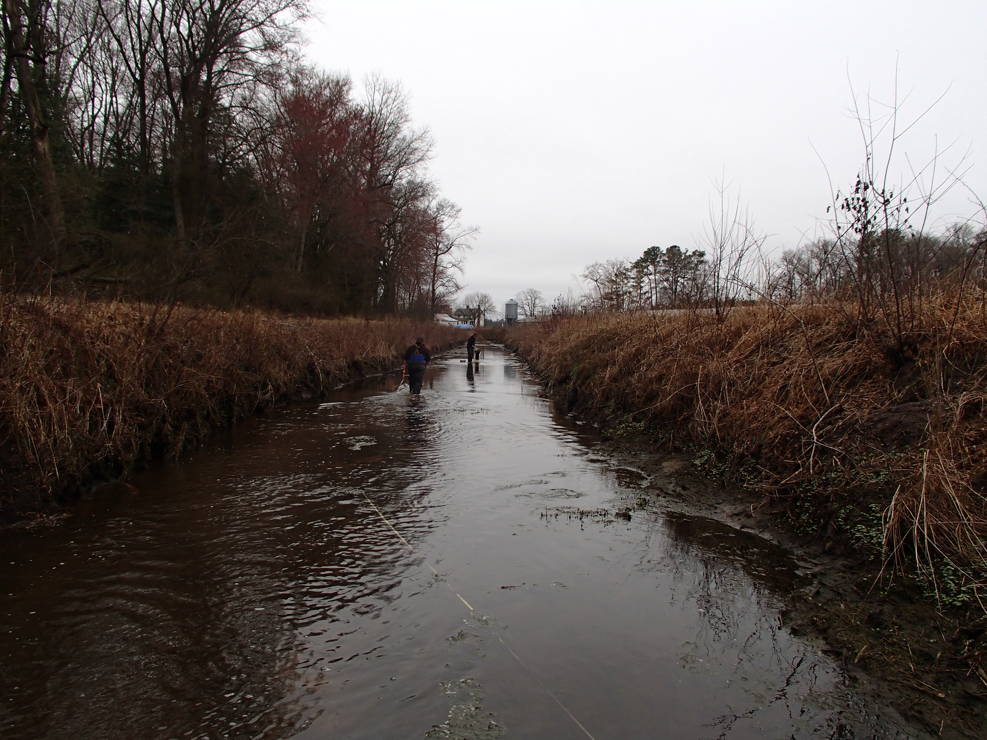 Field photo showing stream conditions at site UPPC-114-R-2015_Midpoint-looking-upstream