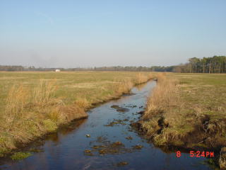 Field photo showing stream conditions at site UPPC-115-R-2001-2