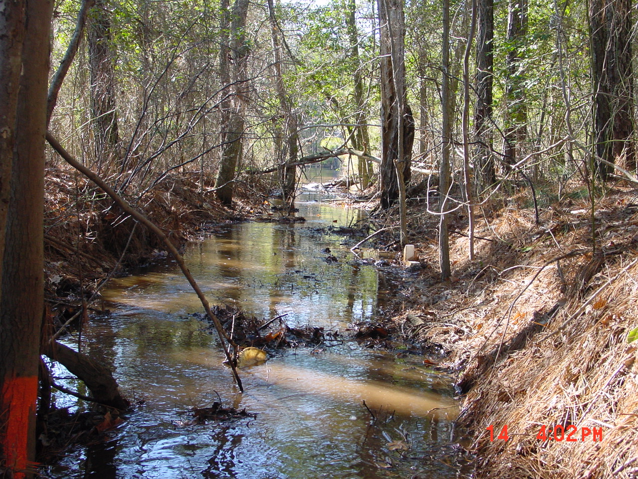 Field photo showing stream conditions at site UPPC-117-R-2001-1