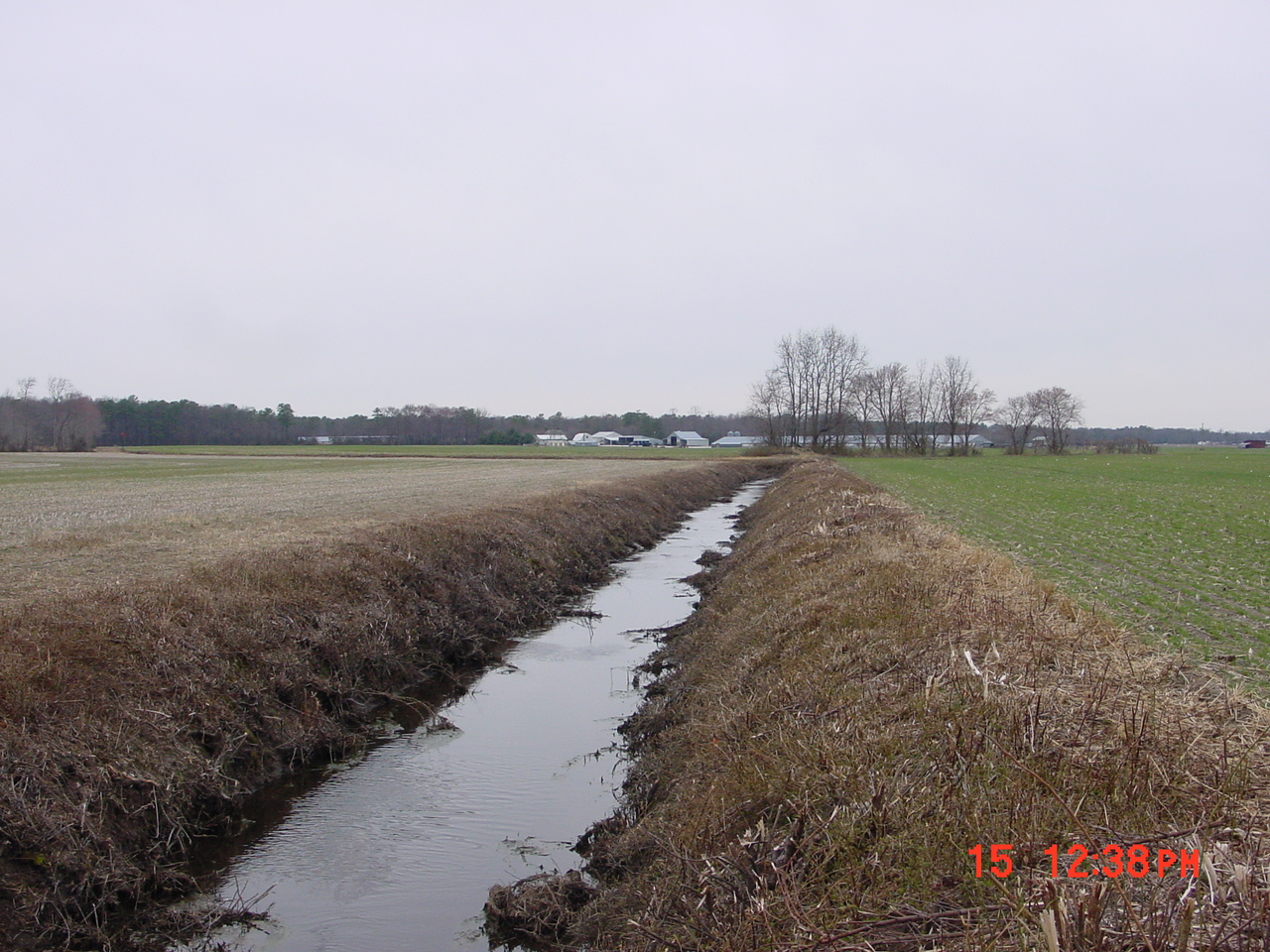 Field photo showing stream conditions at site UPPC-118-R-2001-2