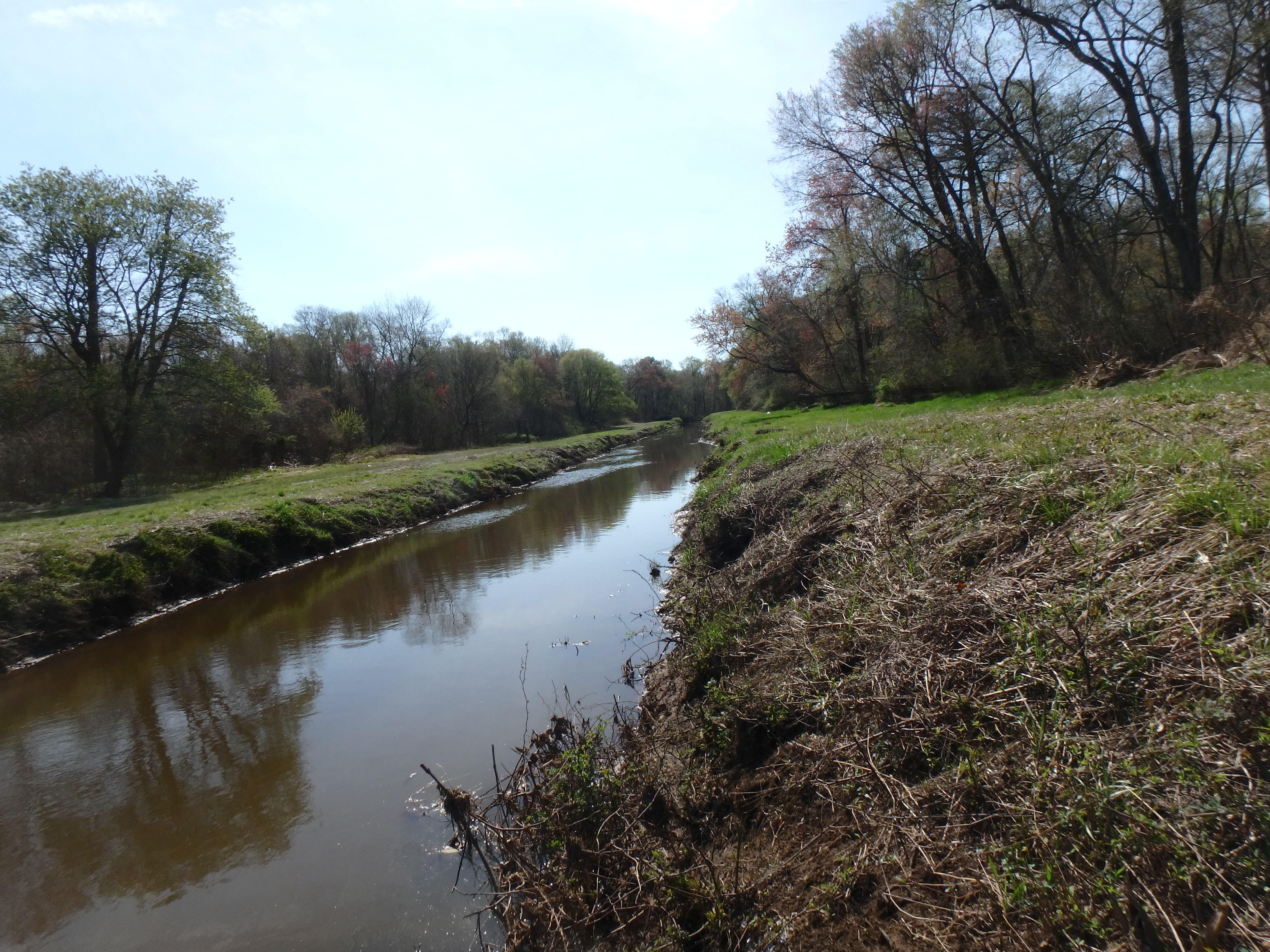 Field photo showing stream conditions at site UPPC-205-R-2017-MidpointLookingDownstream