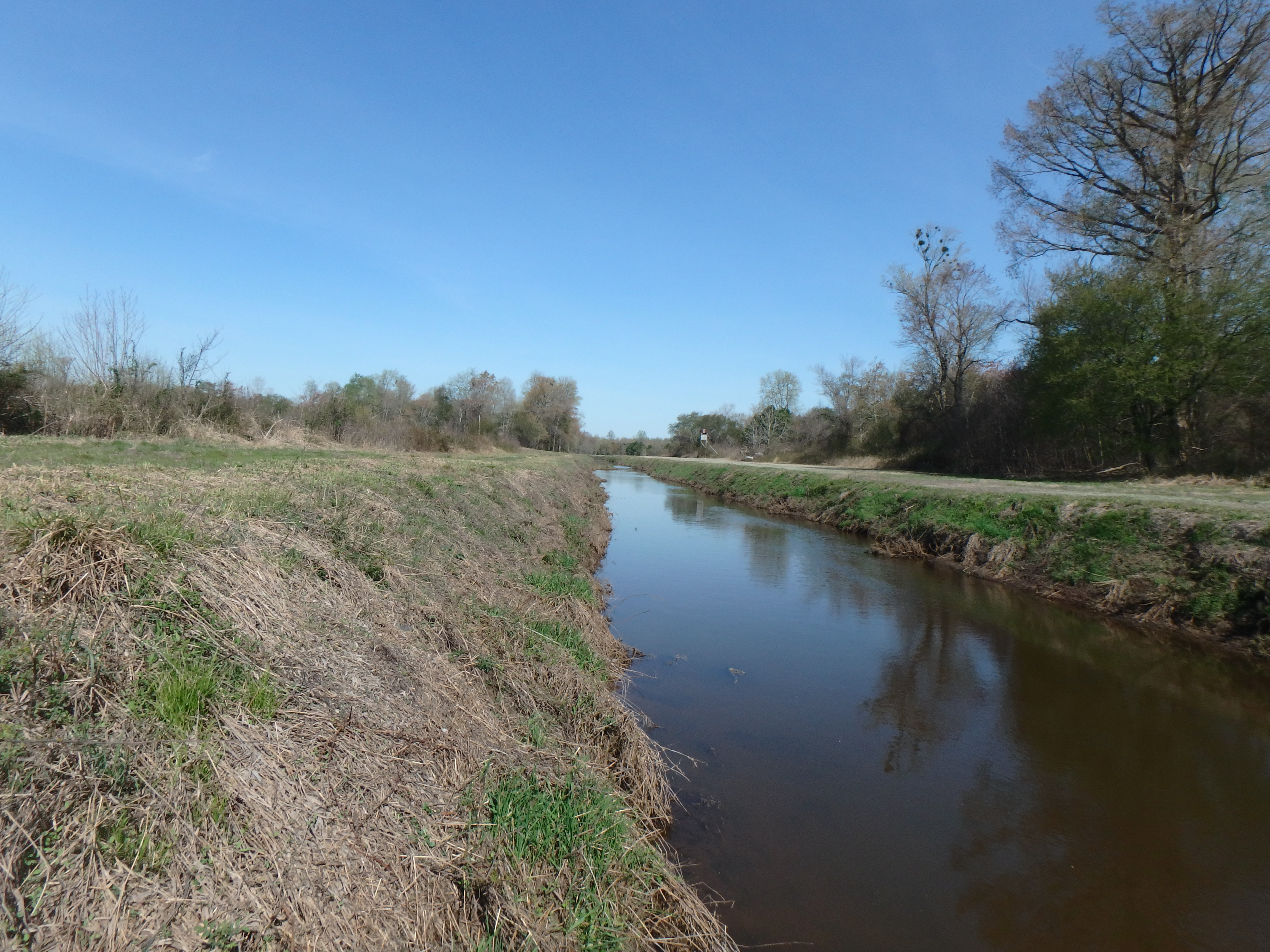 Field photo showing stream conditions at site UPPC-205-R-2017-MidpointLookingUpstream