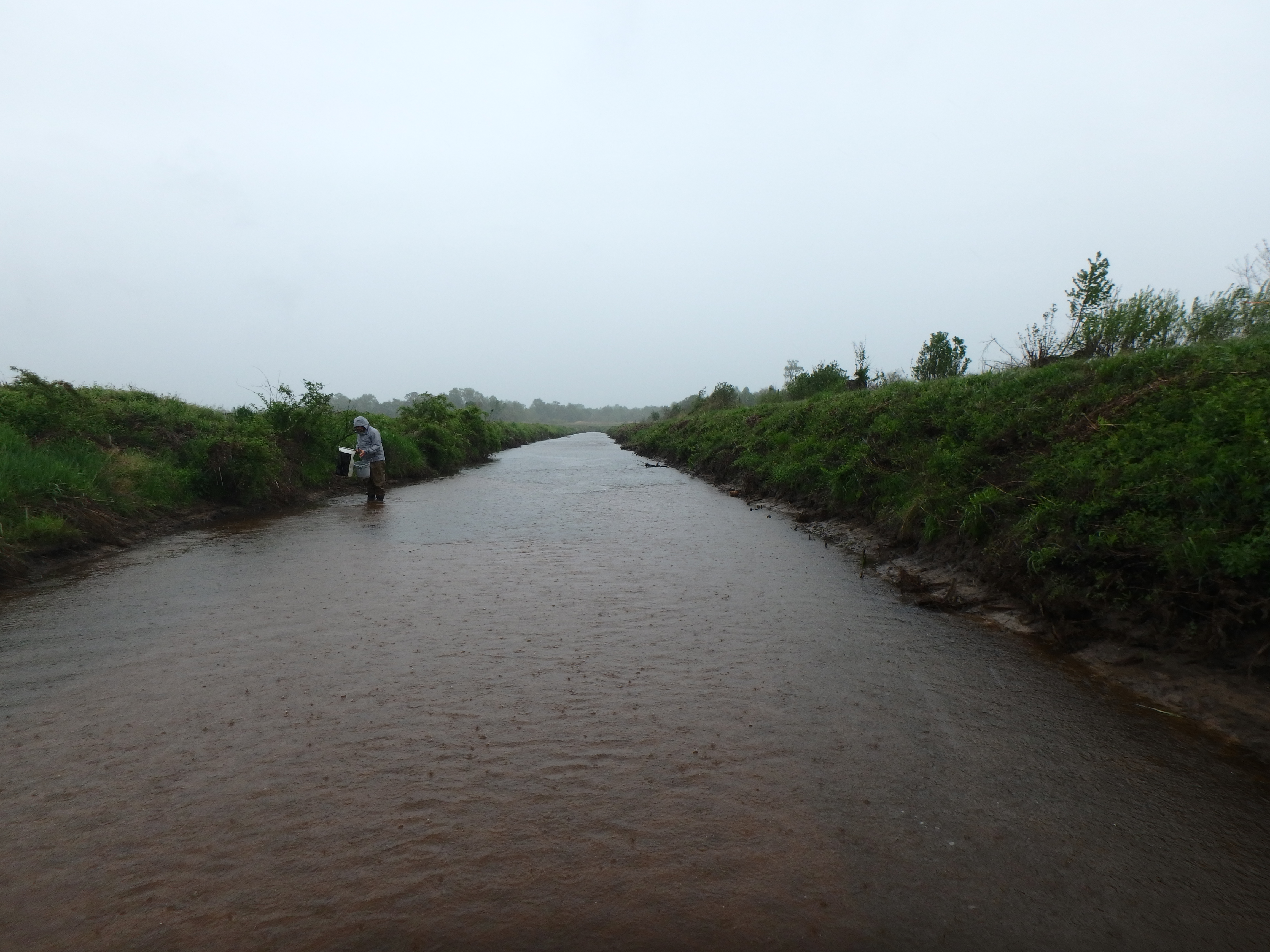 Field photo showing stream conditions at site UPPC-206-R-2017-MidpointLookingDownstream