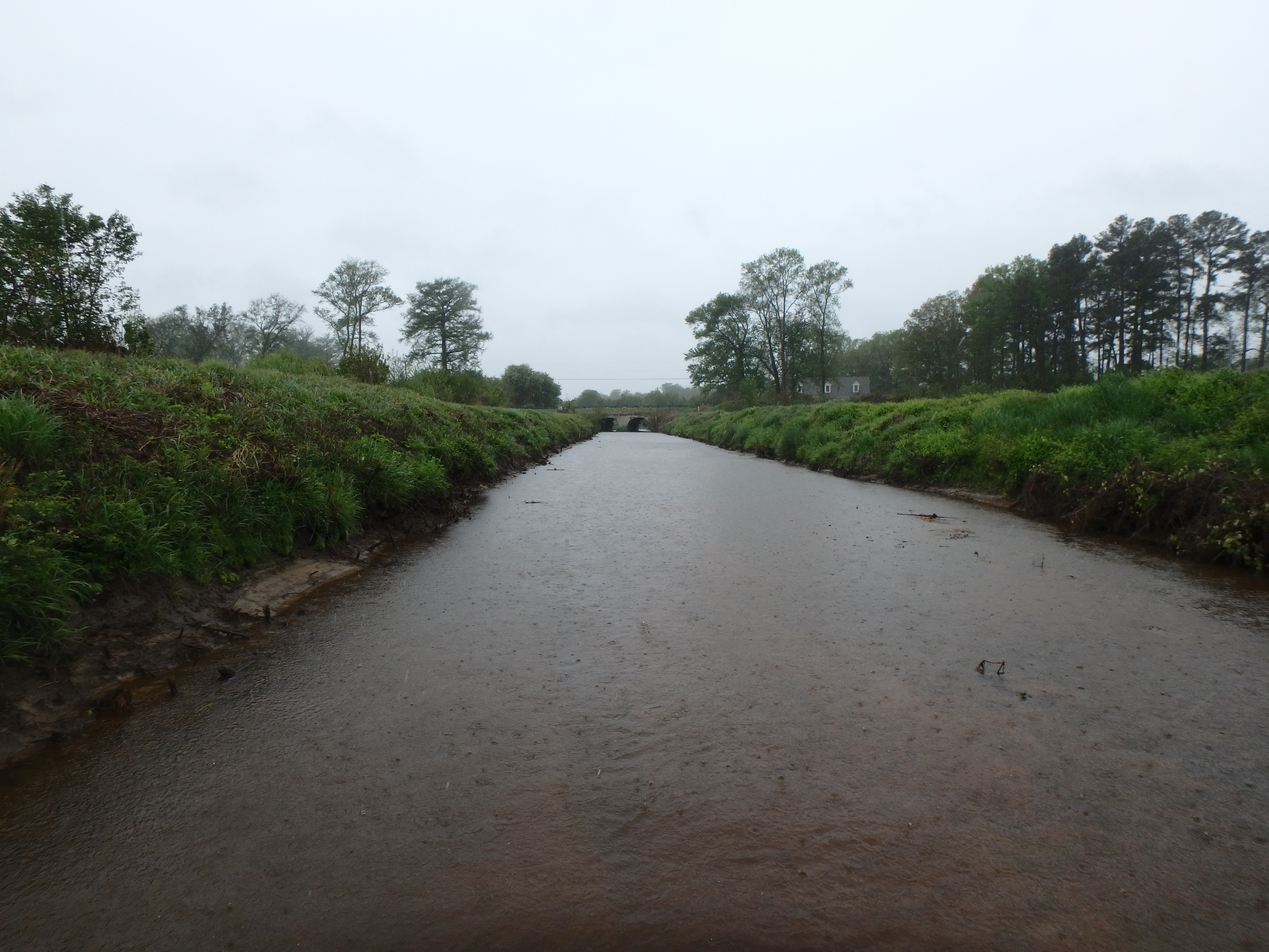Field photo showing stream conditions at site UPPC-206-R-2017-MidpointLookingUpstream