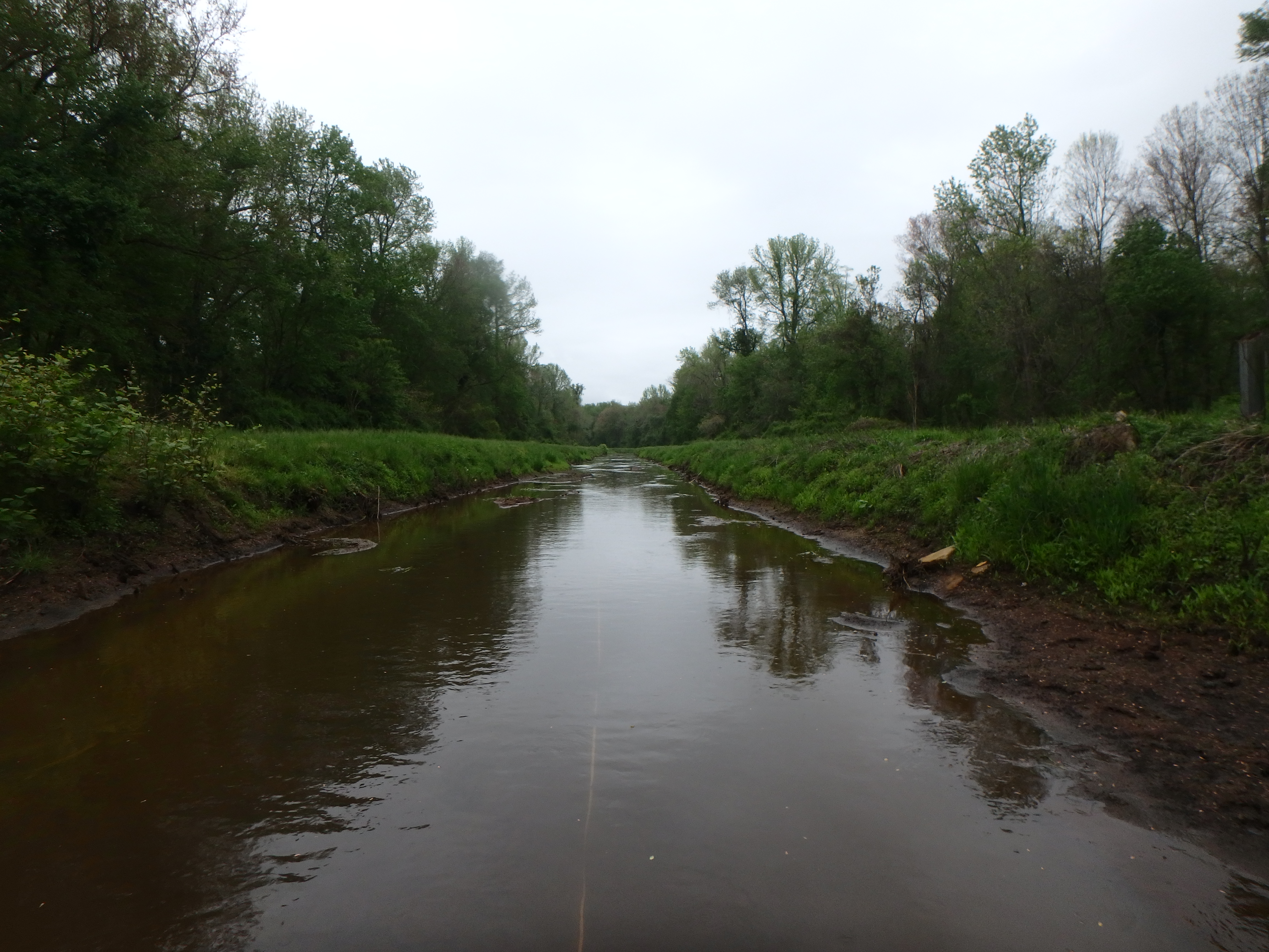 Field photo showing stream conditions at site UPPC-210-R-2017-MidpointLookingUpstream