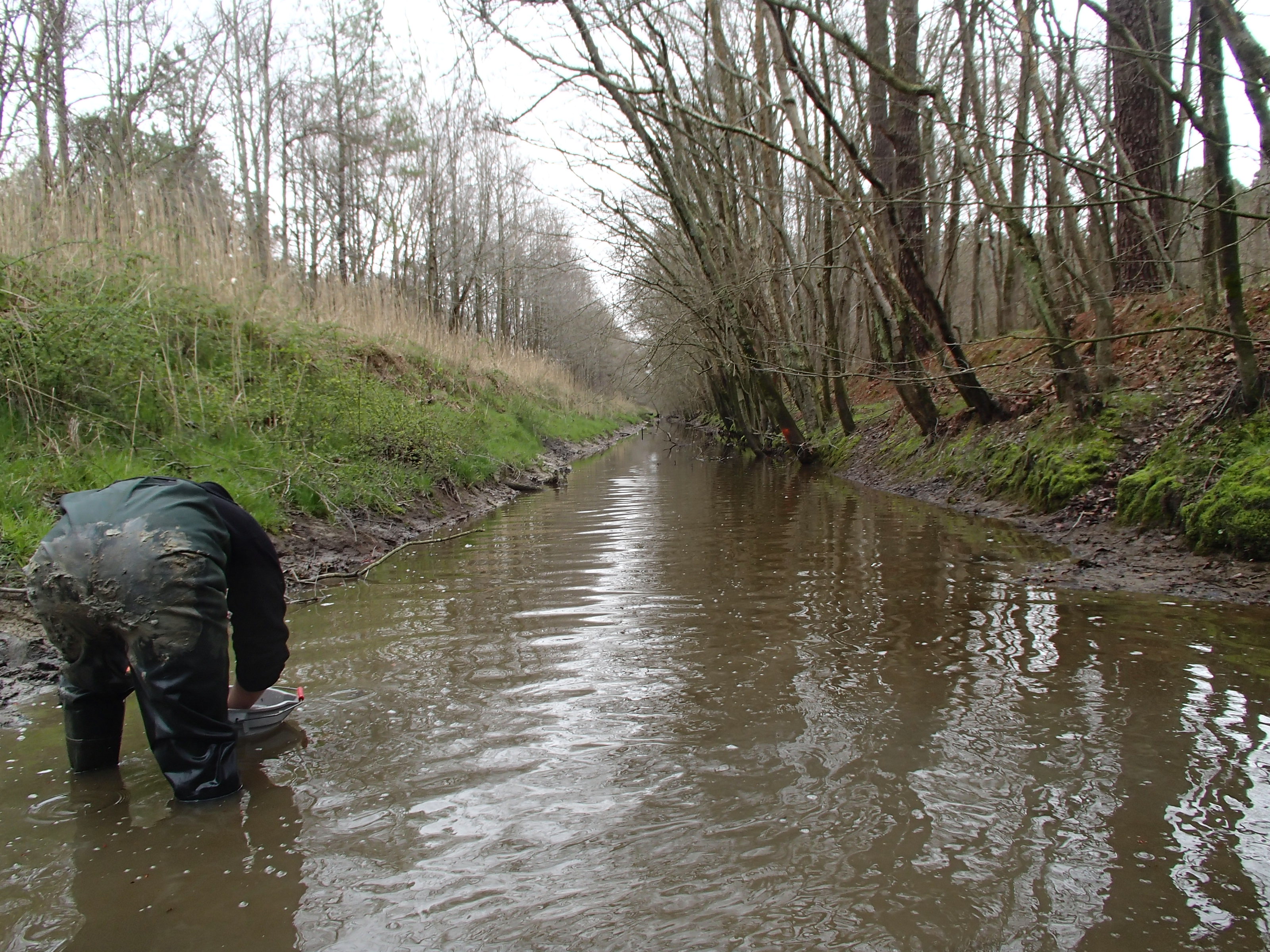 Field photo showing stream conditions at site UPPC-216-R-2015_50-m-looking-downstream