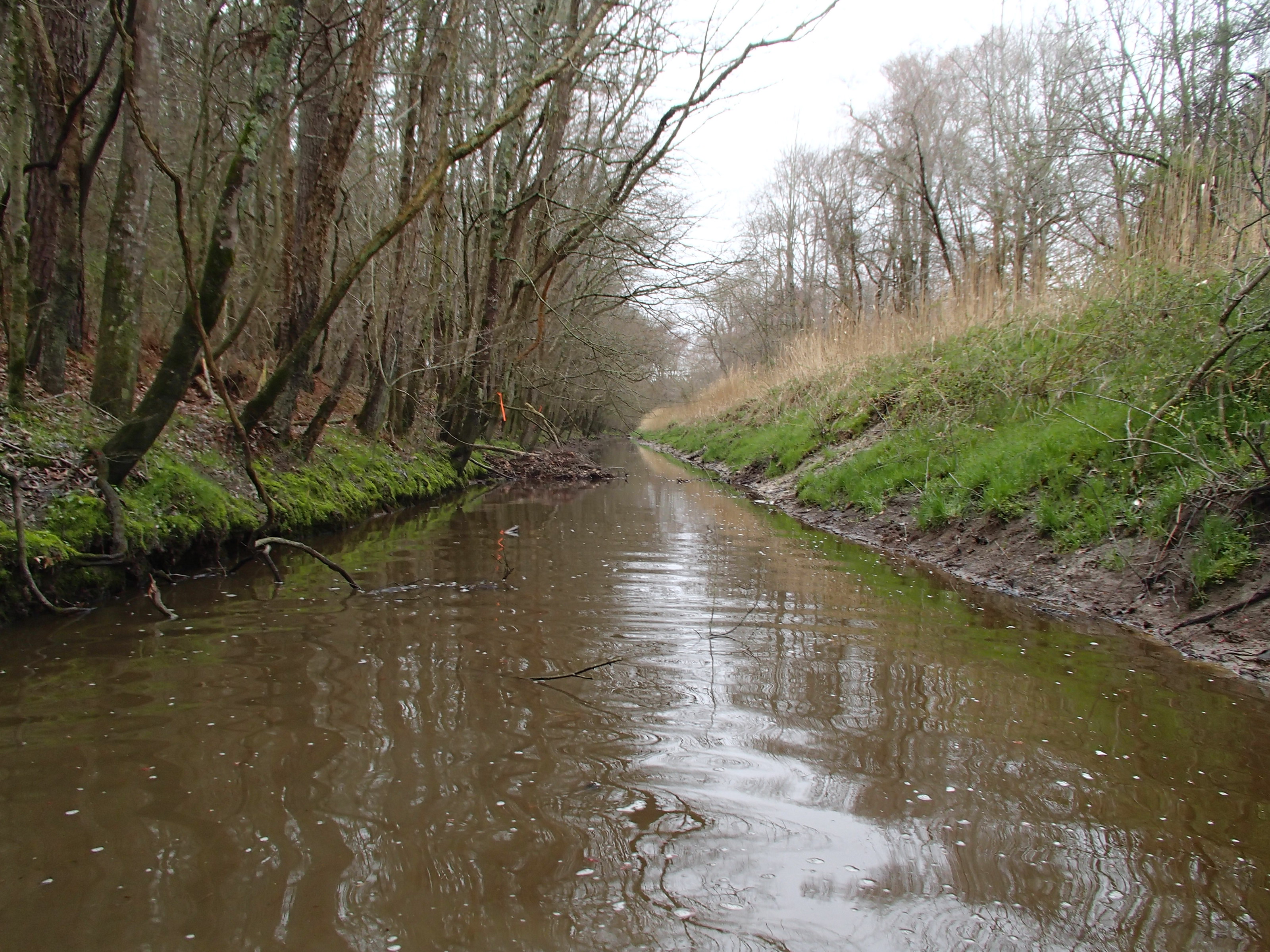 Field photo showing stream conditions at site UPPC-216-R-2015_50-m-looking-upstream