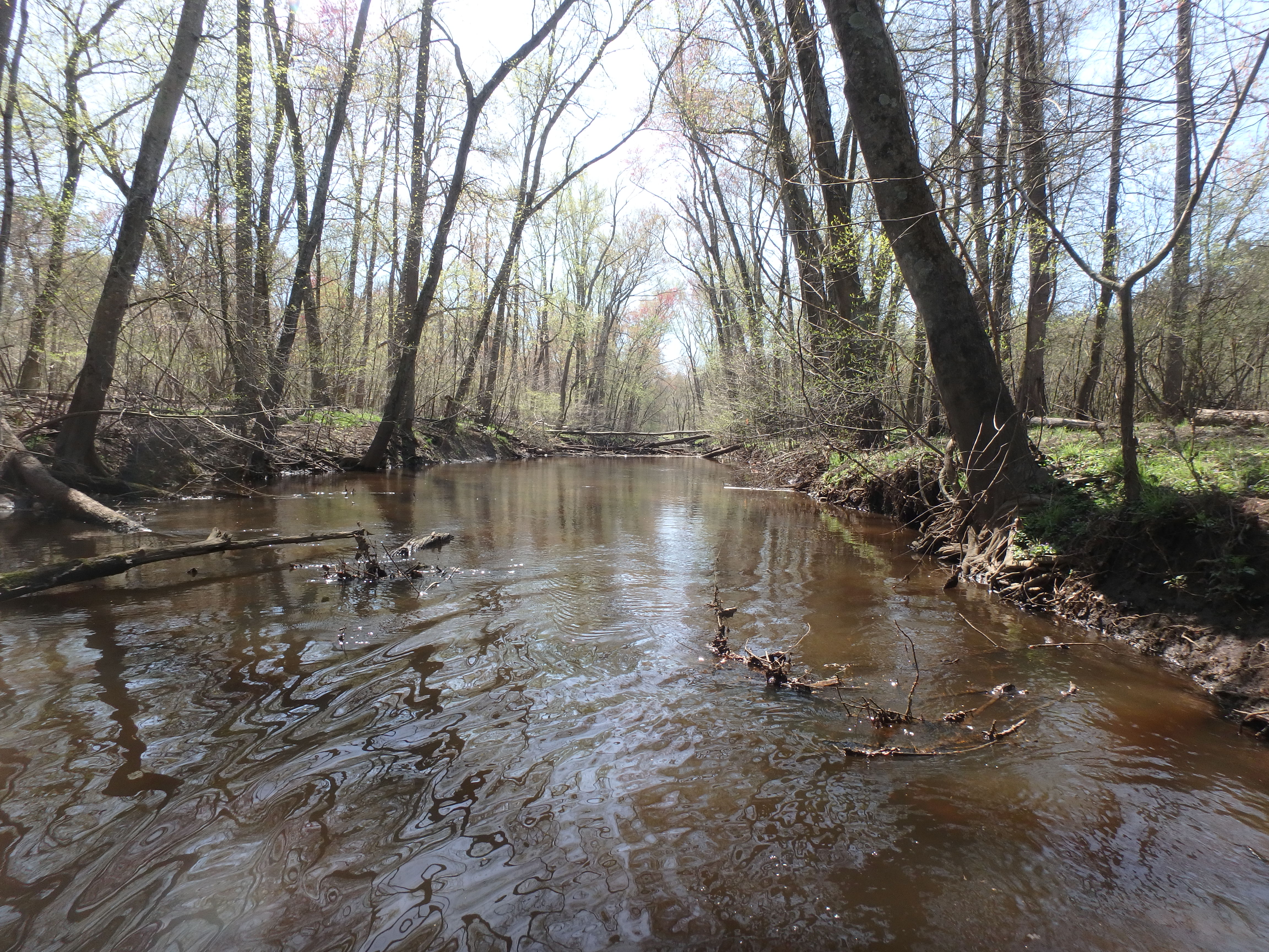 Field photo showing stream conditions at site UPPC-305-R-2017-MidpointLookingDownstream
