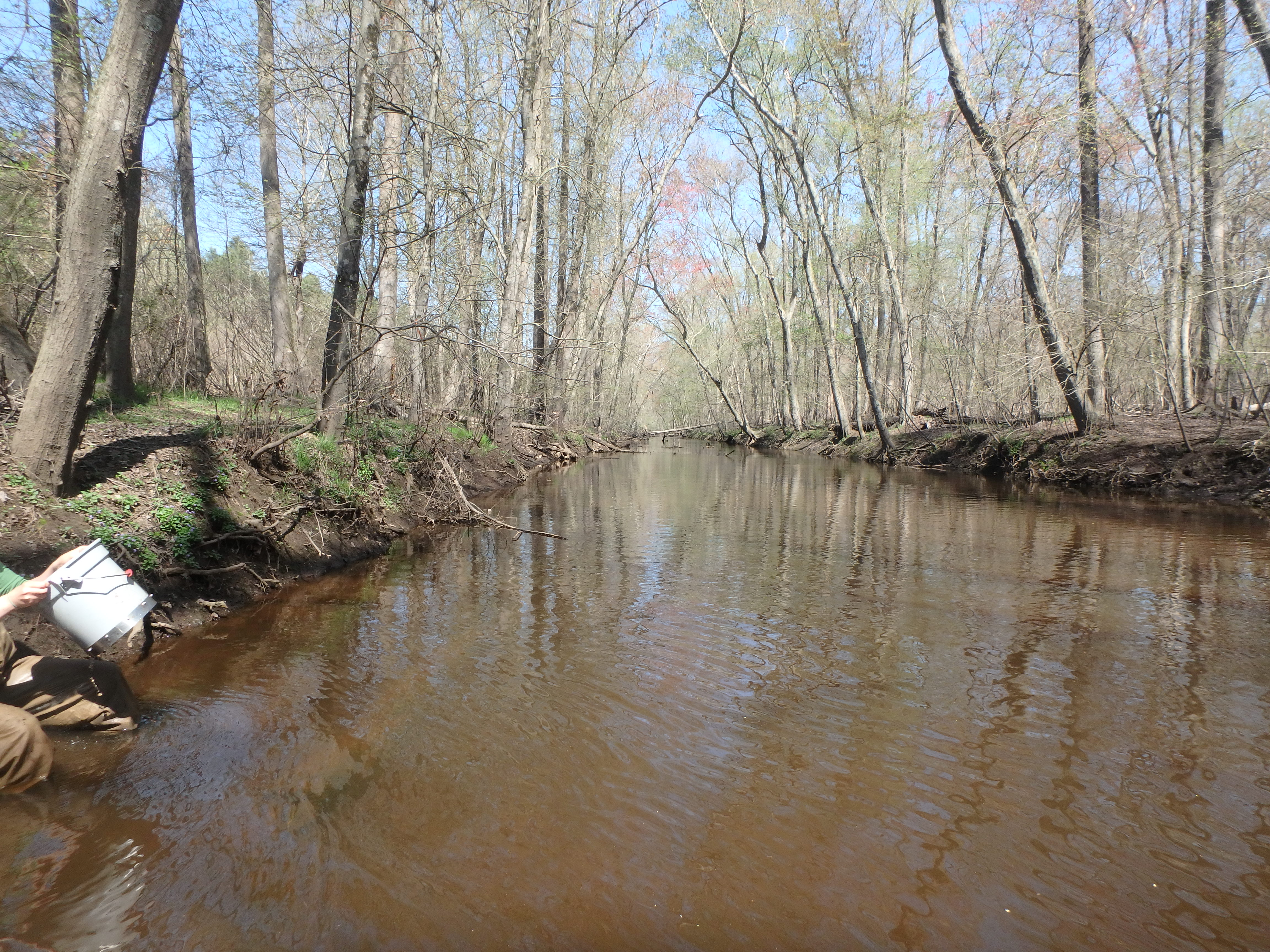 Field photo showing stream conditions at site UPPC-305-R-2017-MidpointLookingUpstream