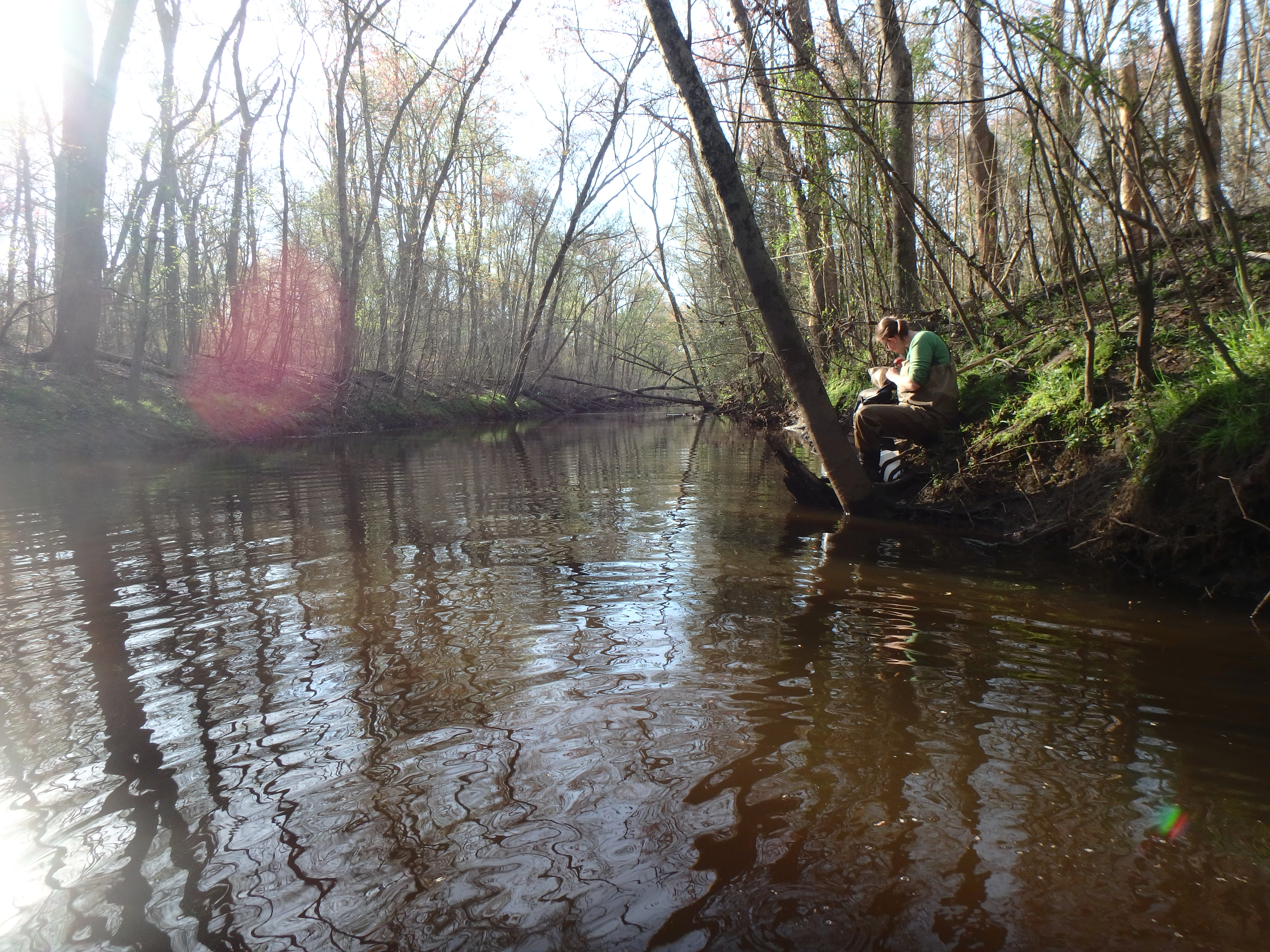 Field photo showing stream conditions at site UPPC-312-R-2017-MidpointLookingDownstream