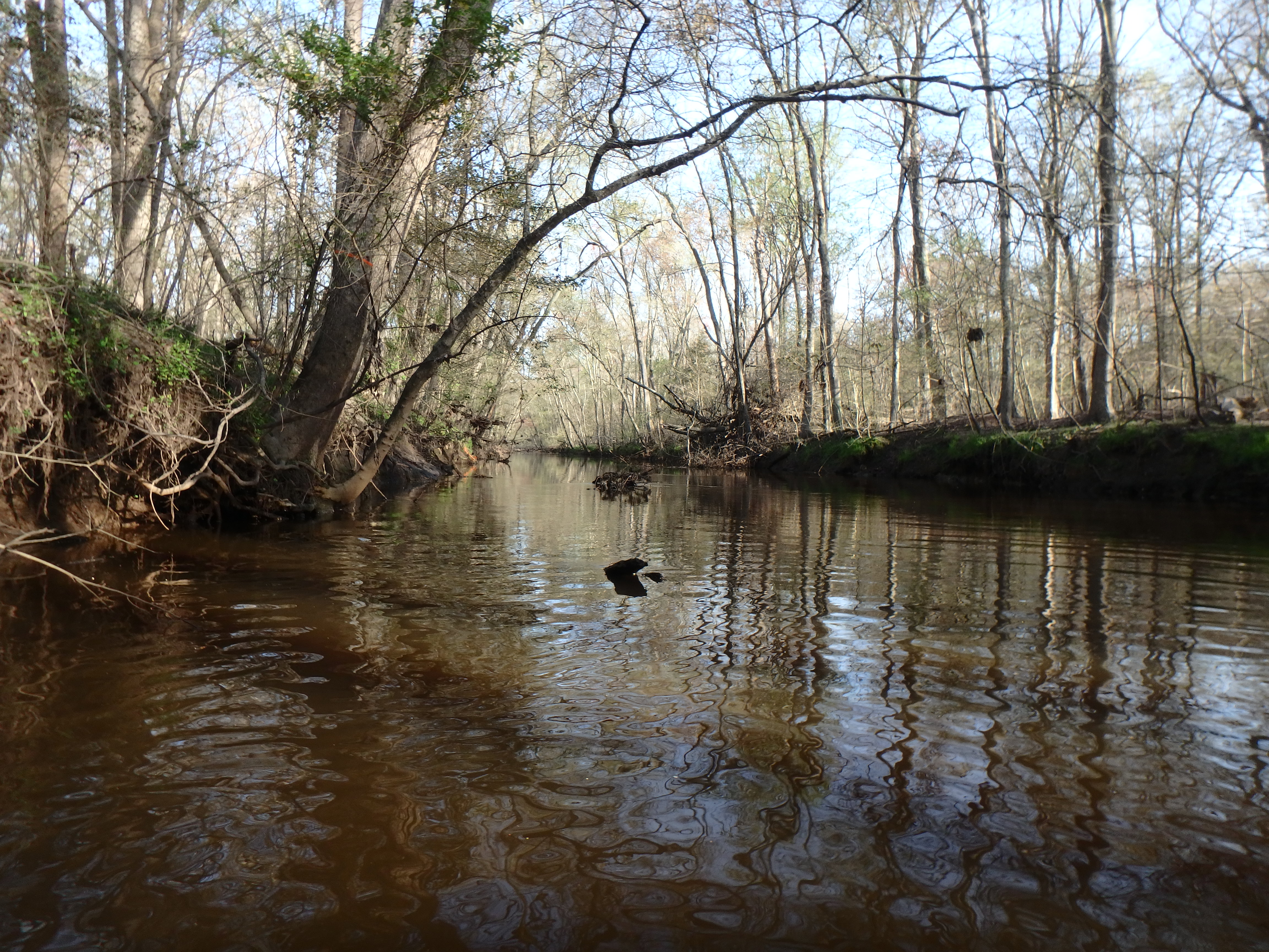 Field photo showing stream conditions at site UPPC-312-R-2017-MidpointLookingUpstream