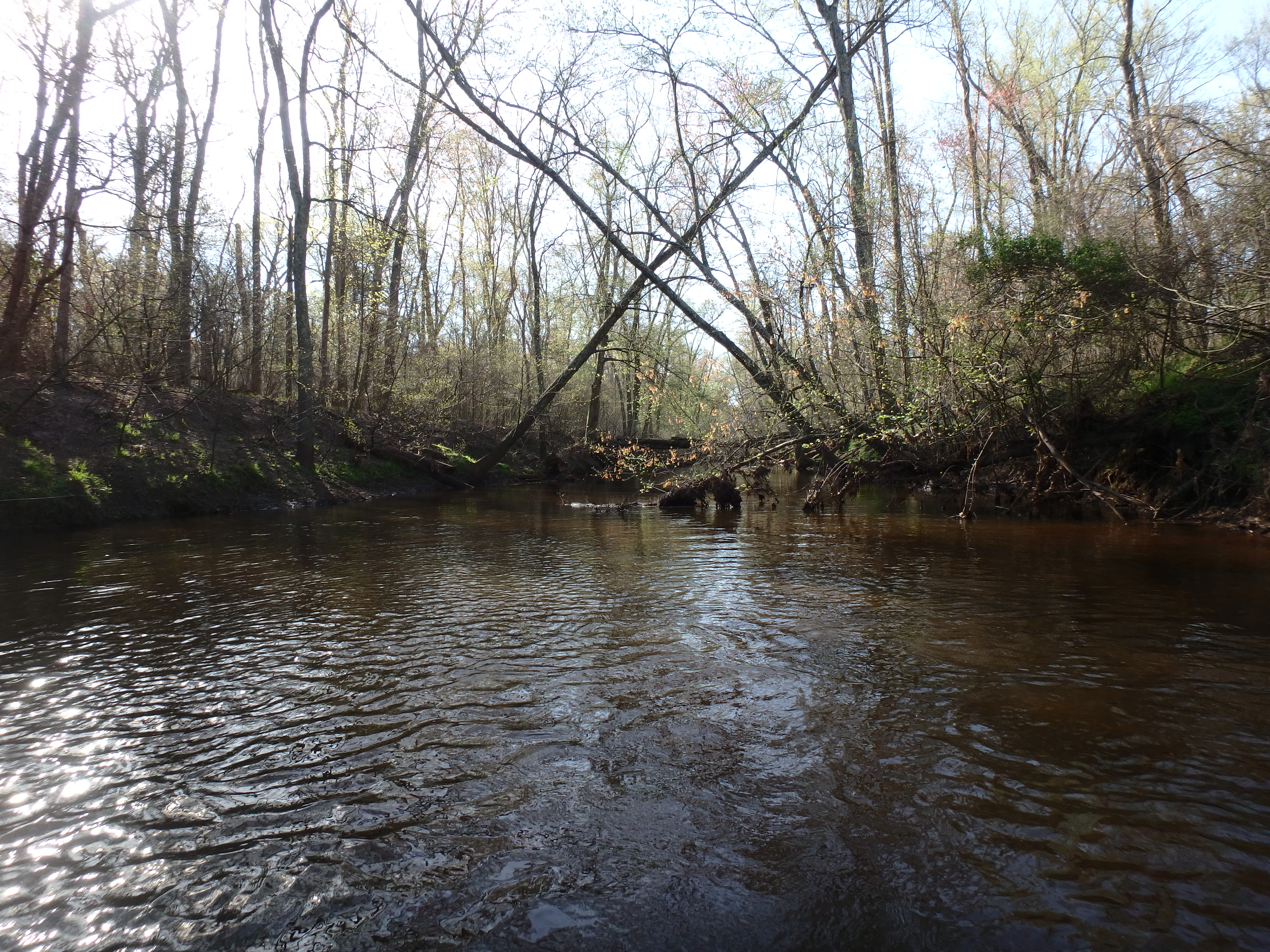 Field photo showing stream conditions at site UPPC-318-R-2017-MidpointLookingDownstream