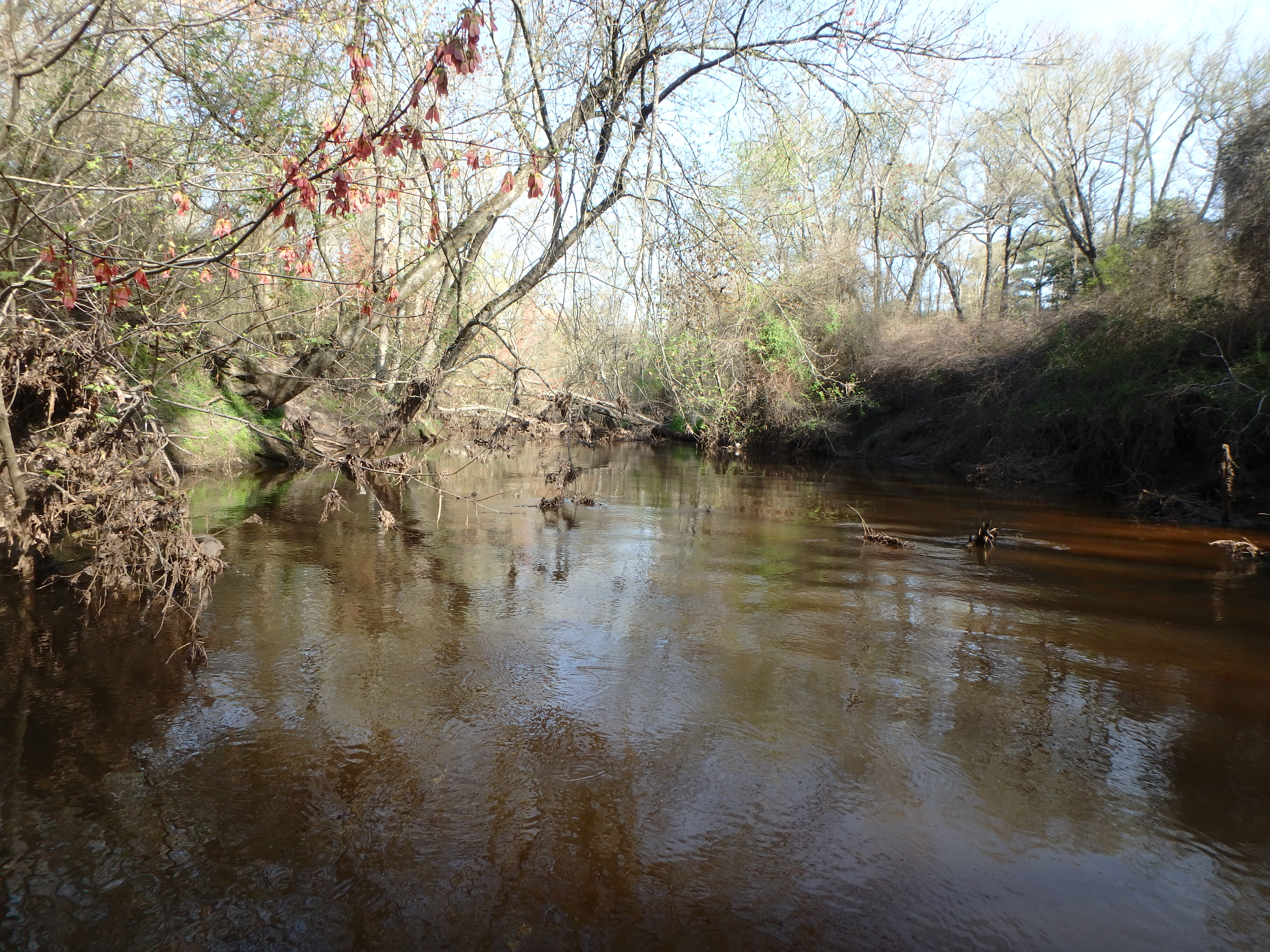 Field photo showing stream conditions at site UPPC-318-R-2017-MidpointLookingUpstream