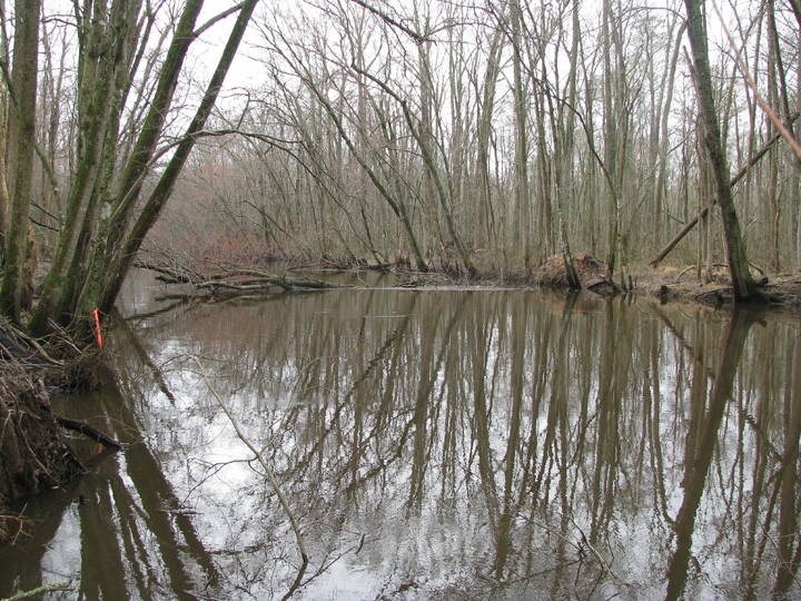 Field photo showing stream conditions at site UPPC-401-R-2009-1