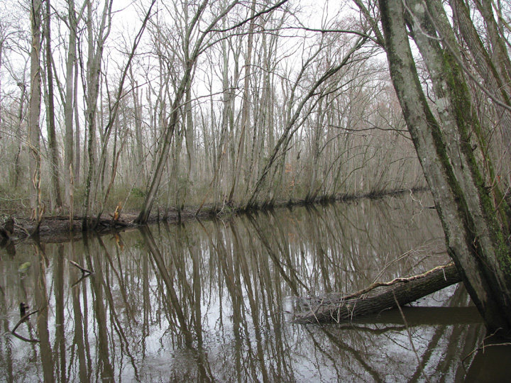 Field photo showing stream conditions at site UPPC-401-R-2009-2
