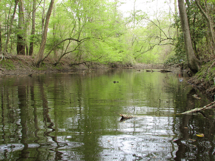 Field photo showing stream conditions at site UPPC-482-A-2007-1