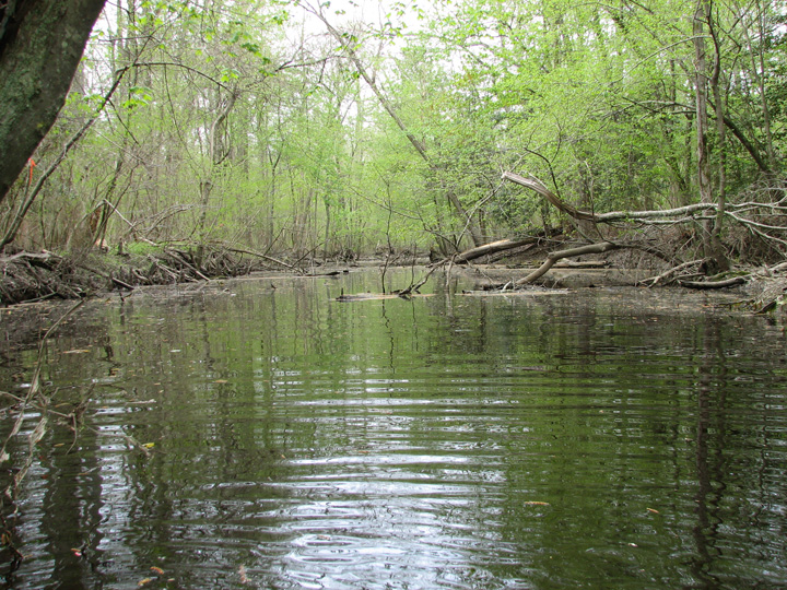 Field photo showing stream conditions at site UPPC-482-A-2007-2