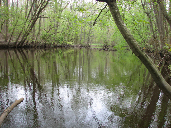 Field photo showing stream conditions at site UPPC-487-A-2007-2