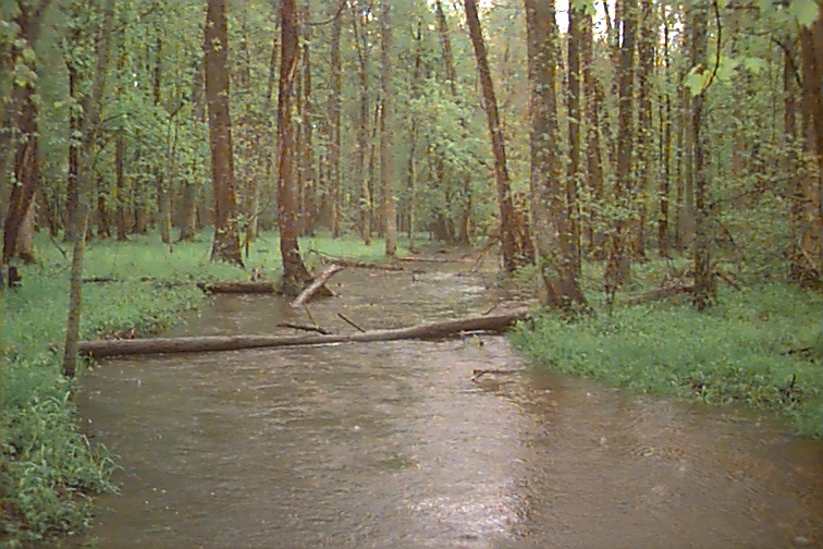 Field photo showing stream conditions at site WCHE-086-S-2000-01