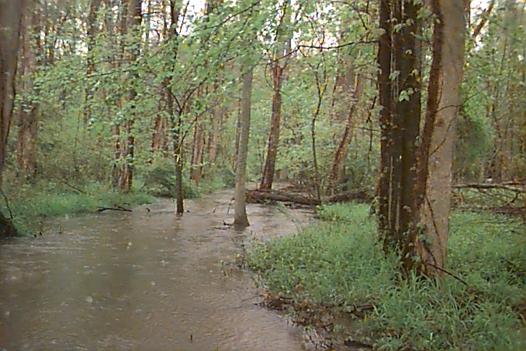 Field photo showing stream conditions at site WCHE-086-S-2000-02