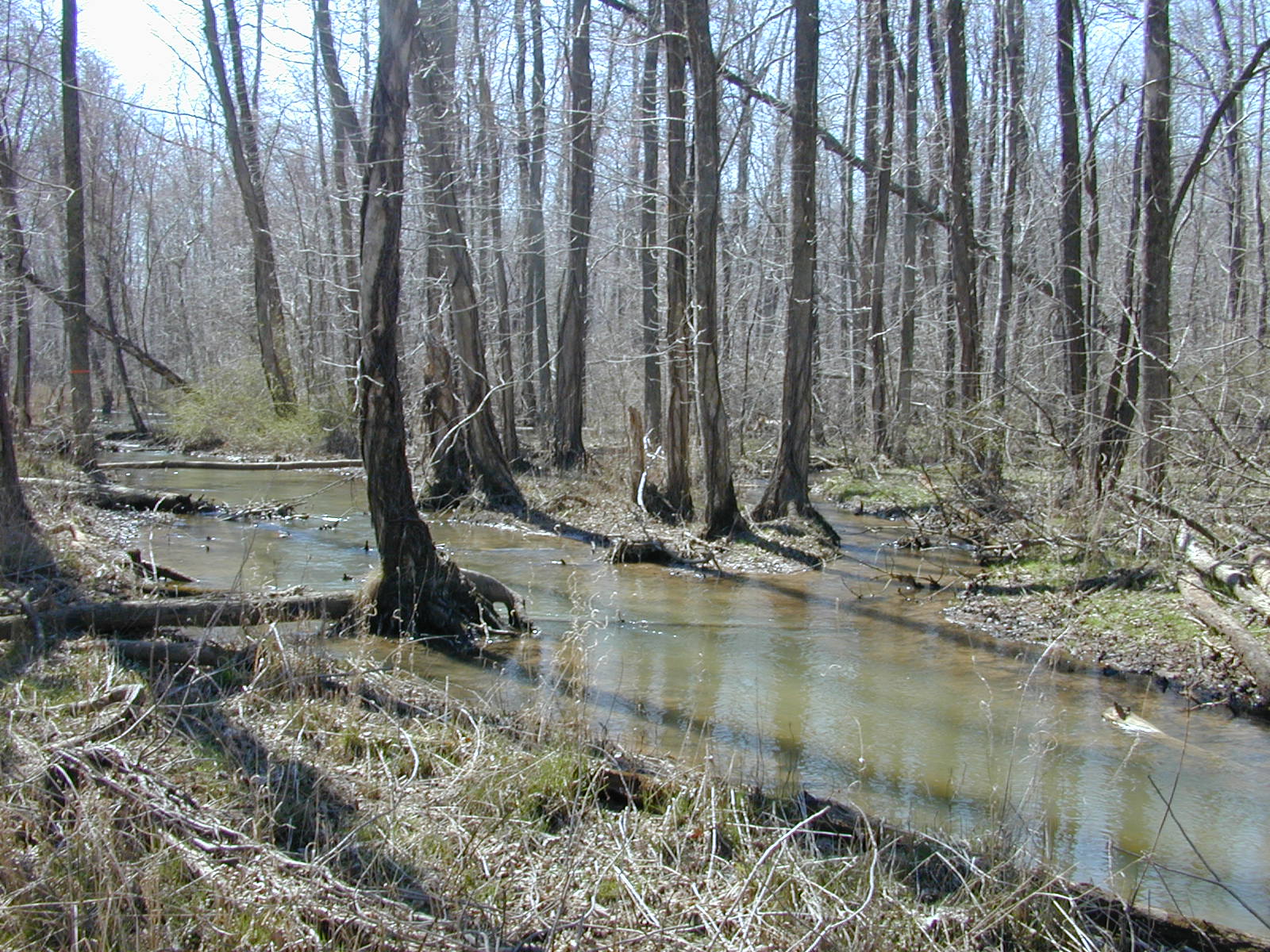 Field photo showing stream conditions at site WCHE-086-S-2001-161