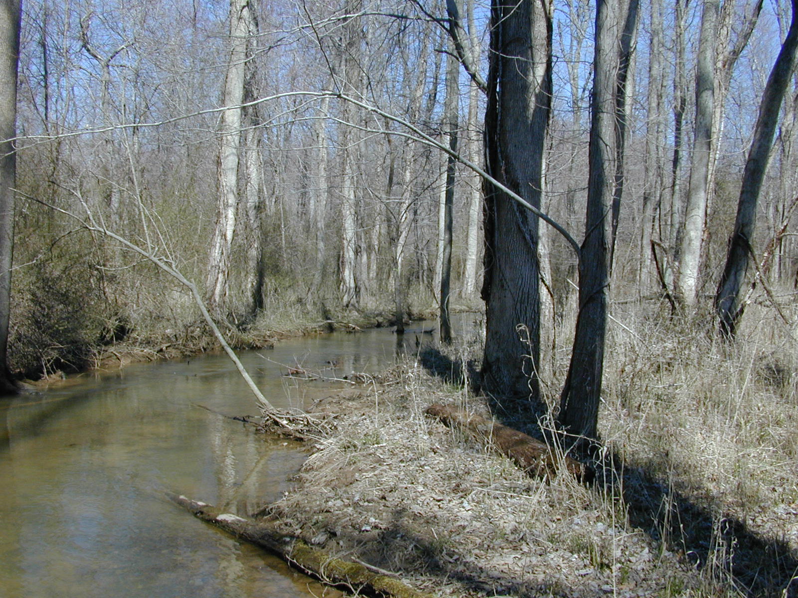 Field photo showing stream conditions at site WCHE-086-S-2001-162