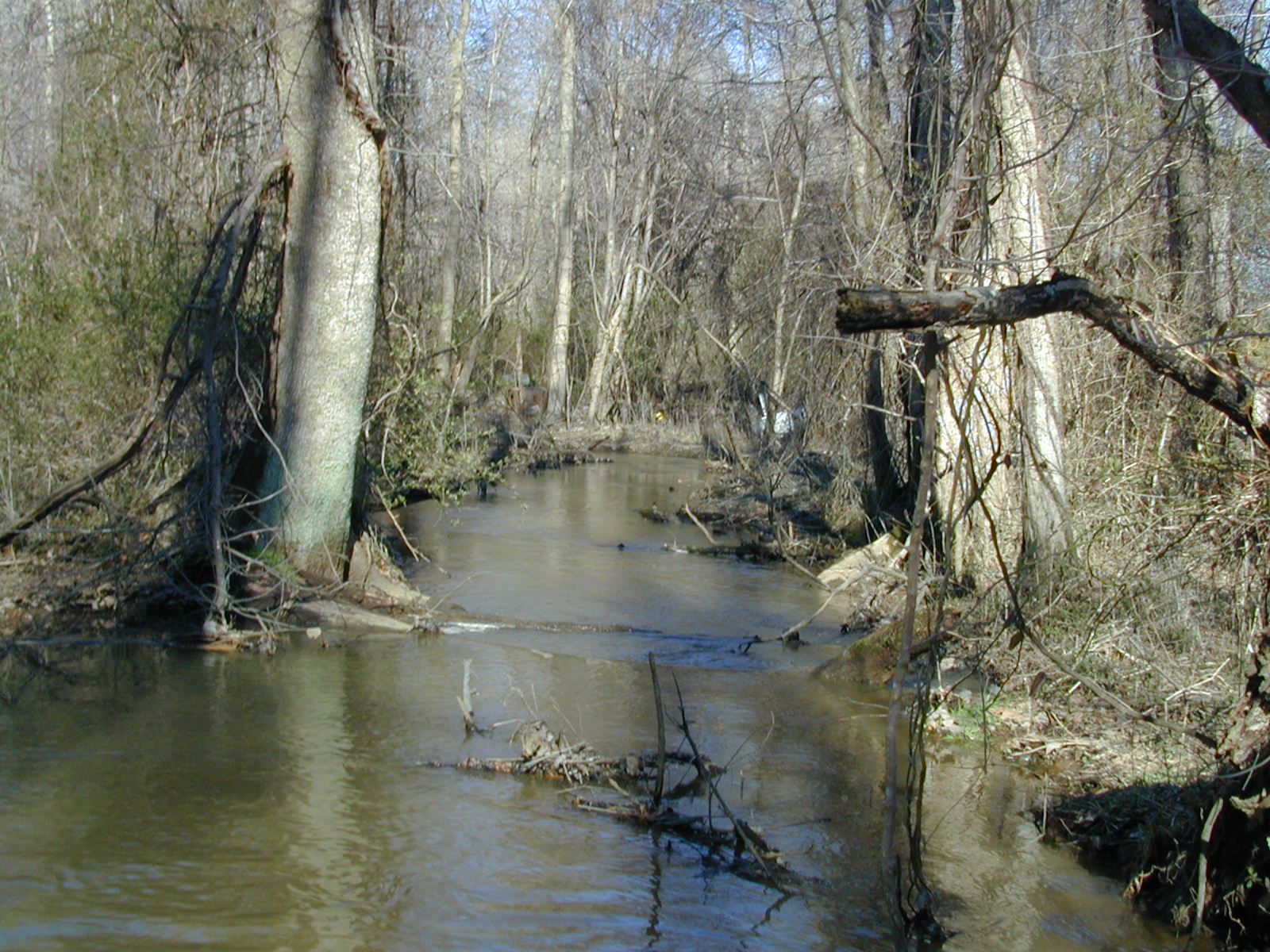 Field photo showing stream conditions at site WCHE-086-S-2002-444