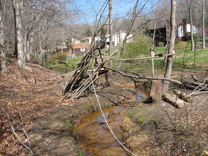 Field photo showing stream conditions at site WCHE-102-R-2007-1