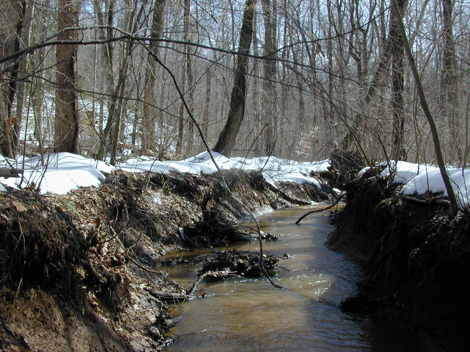 Field photo showing stream conditions at site WCHE-103-R-2003-0806