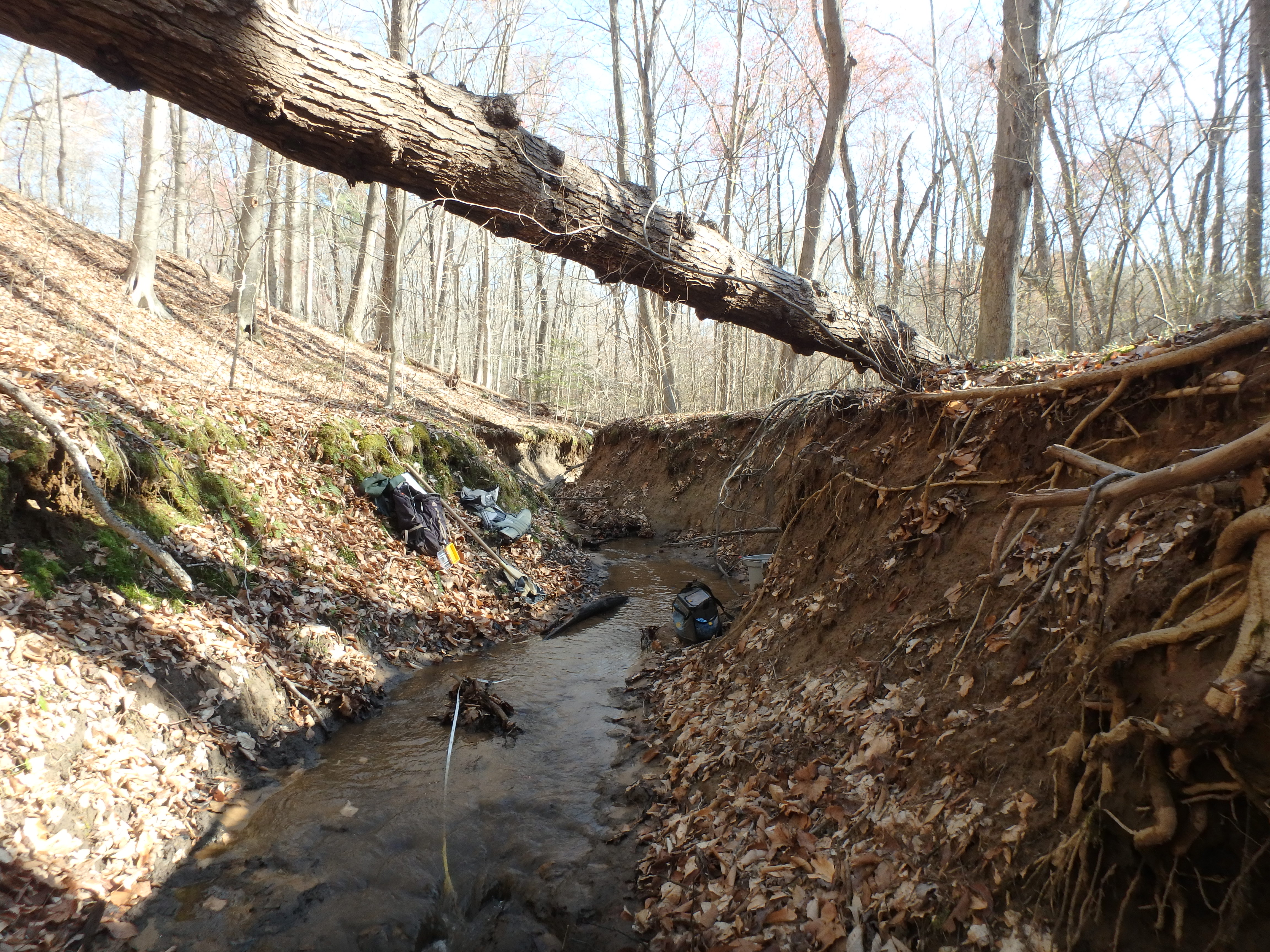 Field photo showing stream conditions at site WCHE-103-R-2017-MidpointLookingDownstream