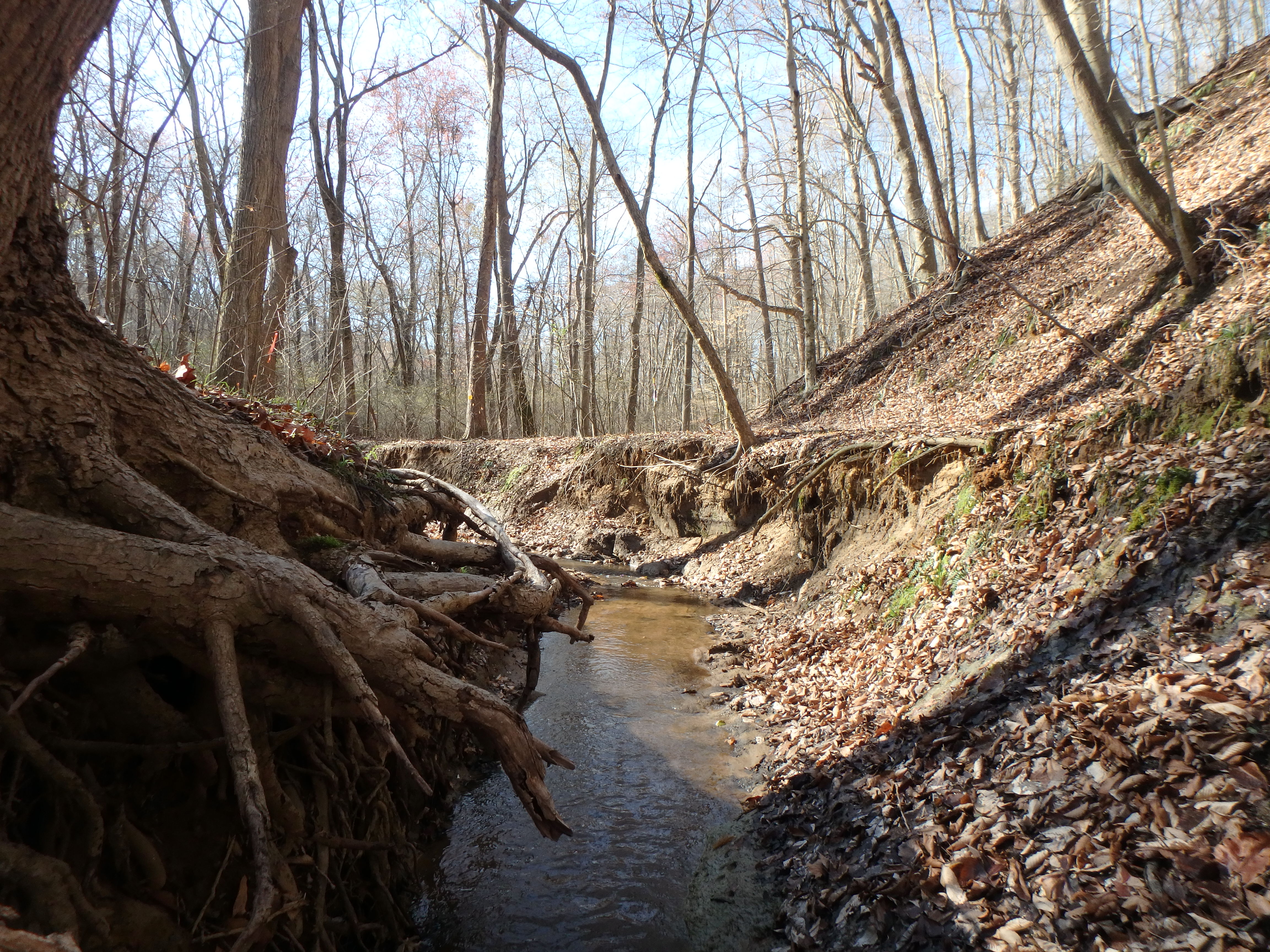 Field photo showing stream conditions at site WCHE-103-R-2017-MidpointLookingUpstream