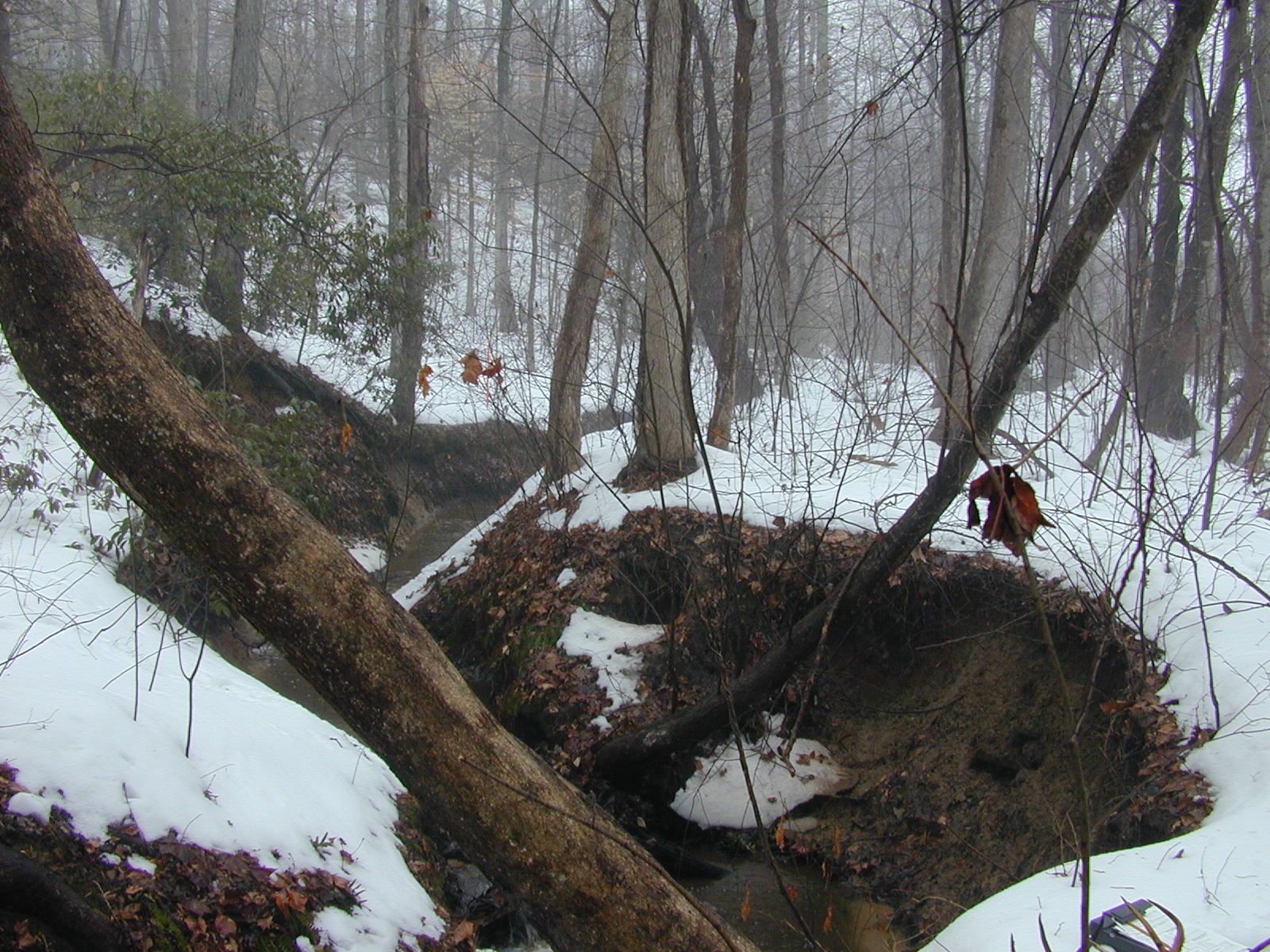 Field photo showing stream conditions at site WCHE-104-R-2003-0802