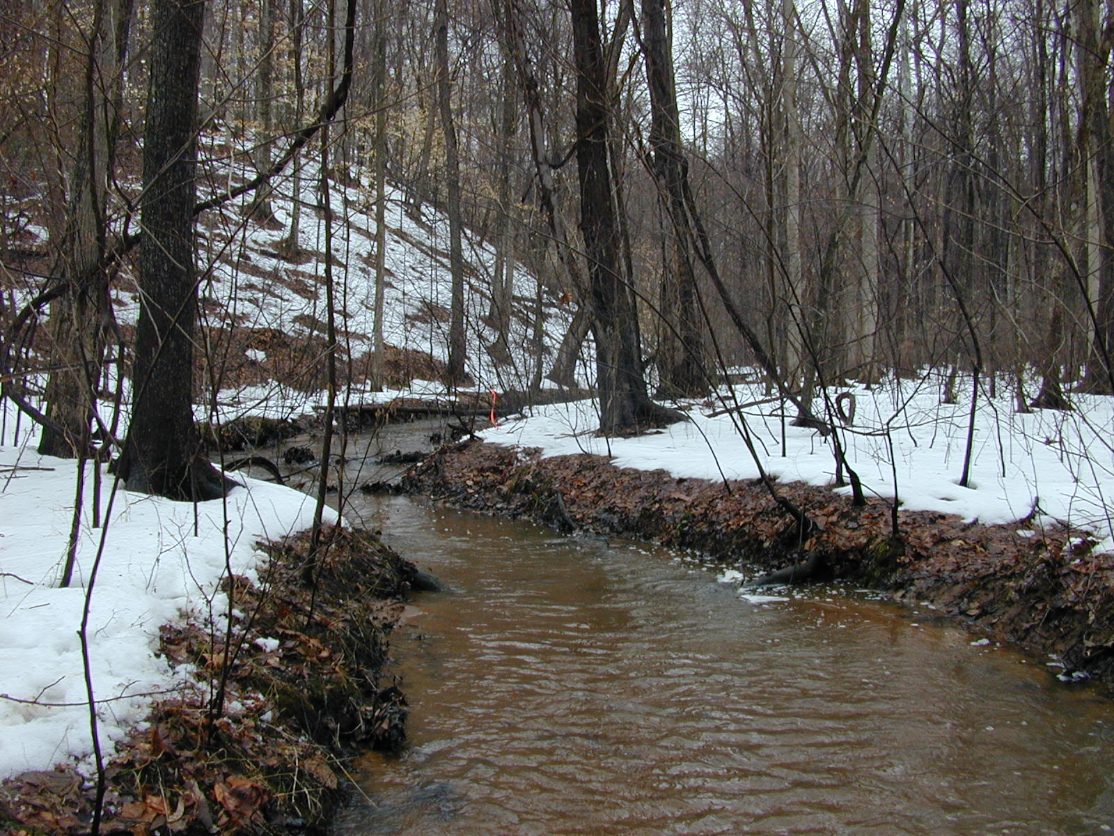 Field photo showing stream conditions at site WCHE-105-R-2003-0814