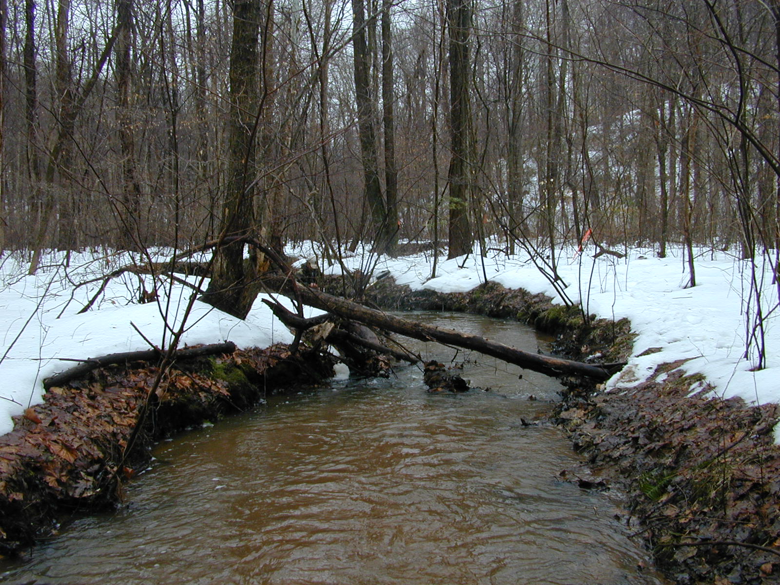 Field photo showing stream conditions at site WCHE-105-R-2003-0815