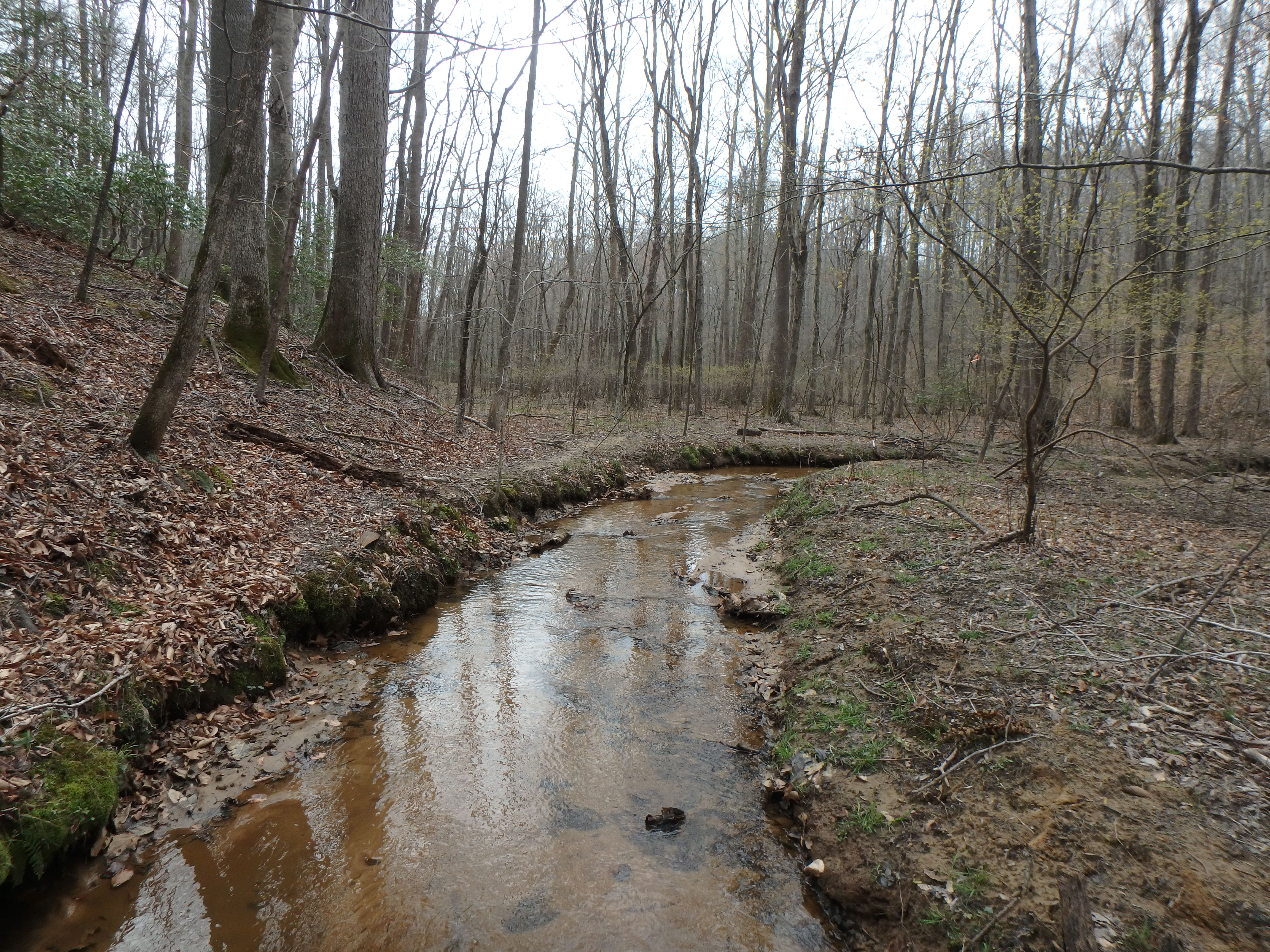 Field photo showing stream conditions at site WCHE-105-R-2017-MidpointLookingDownstream