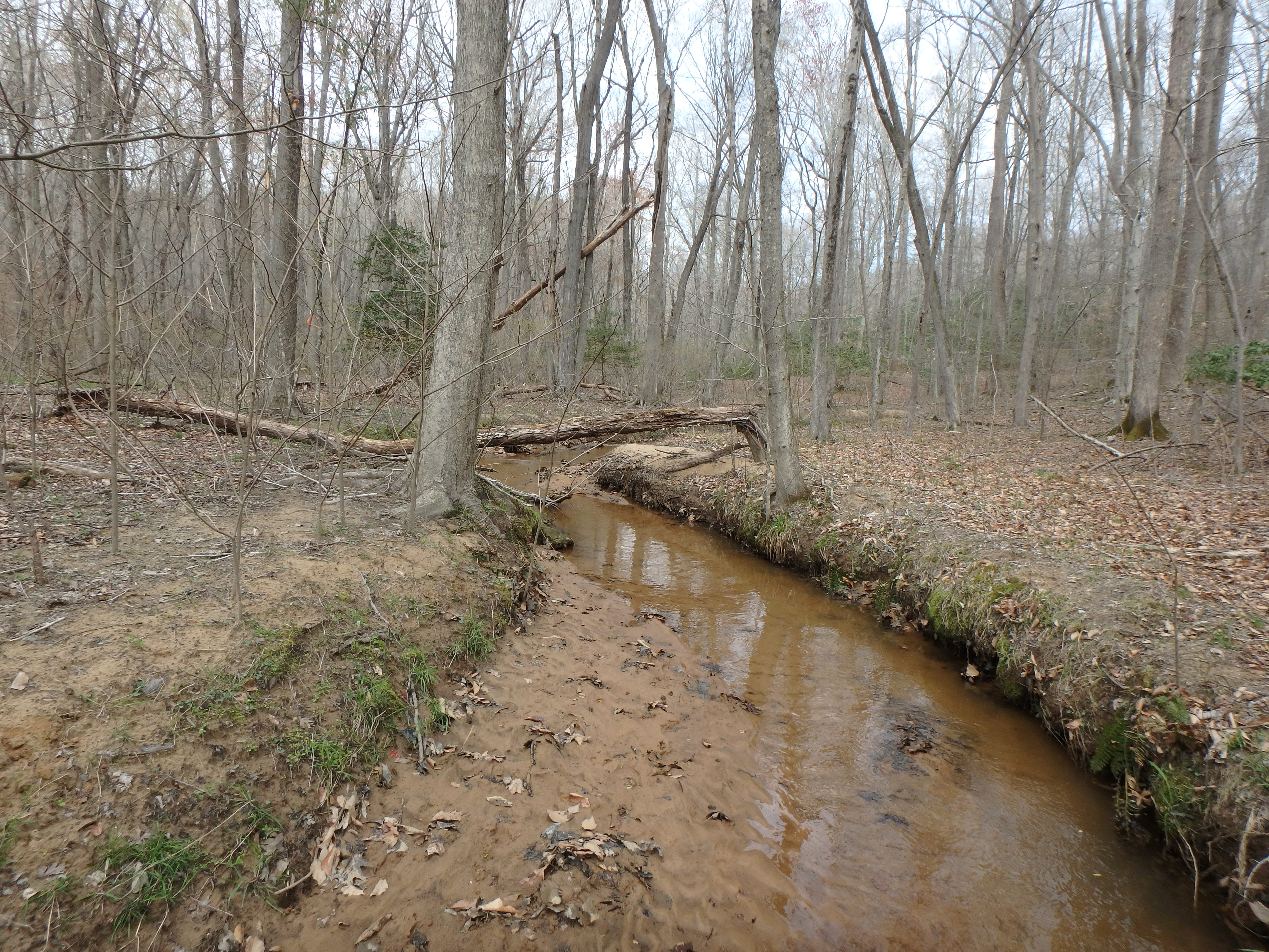 Field photo showing stream conditions at site WCHE-105-R-2017-MidpointLookingUpstream