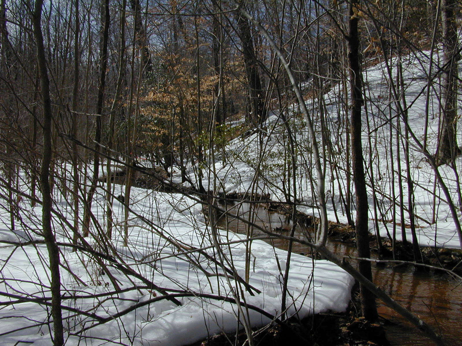 Field photo showing stream conditions at site WCHE-106-R-2003-0804
