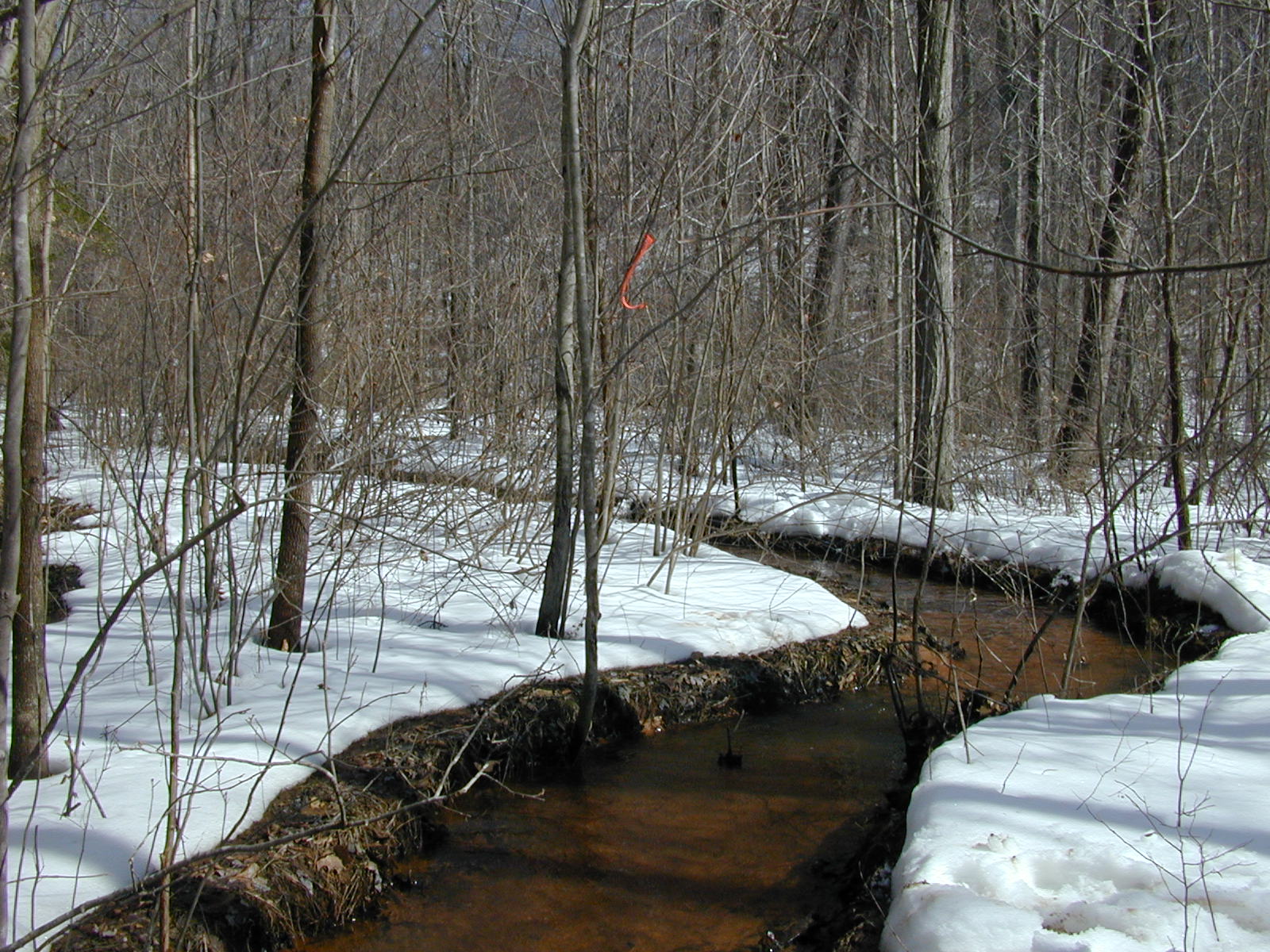 Field photo showing stream conditions at site WCHE-106-R-2003-0805