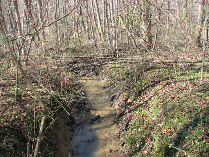 Field photo showing stream conditions at site WCHE-106-R-2007-1